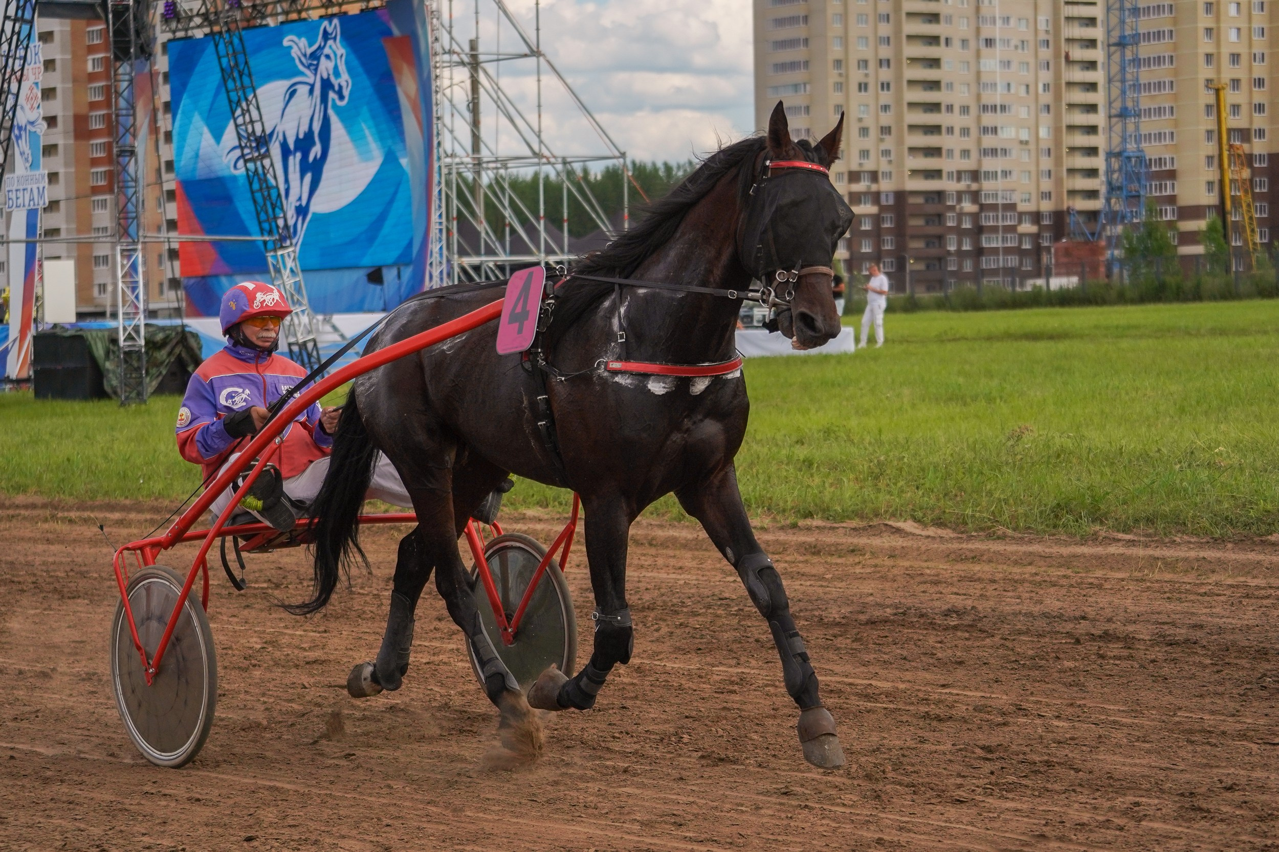 III конные бега на Кубок Главы Чувашии. Фотограф-анималист, портретный фотограф в Чебоксарах Мария Садыкова