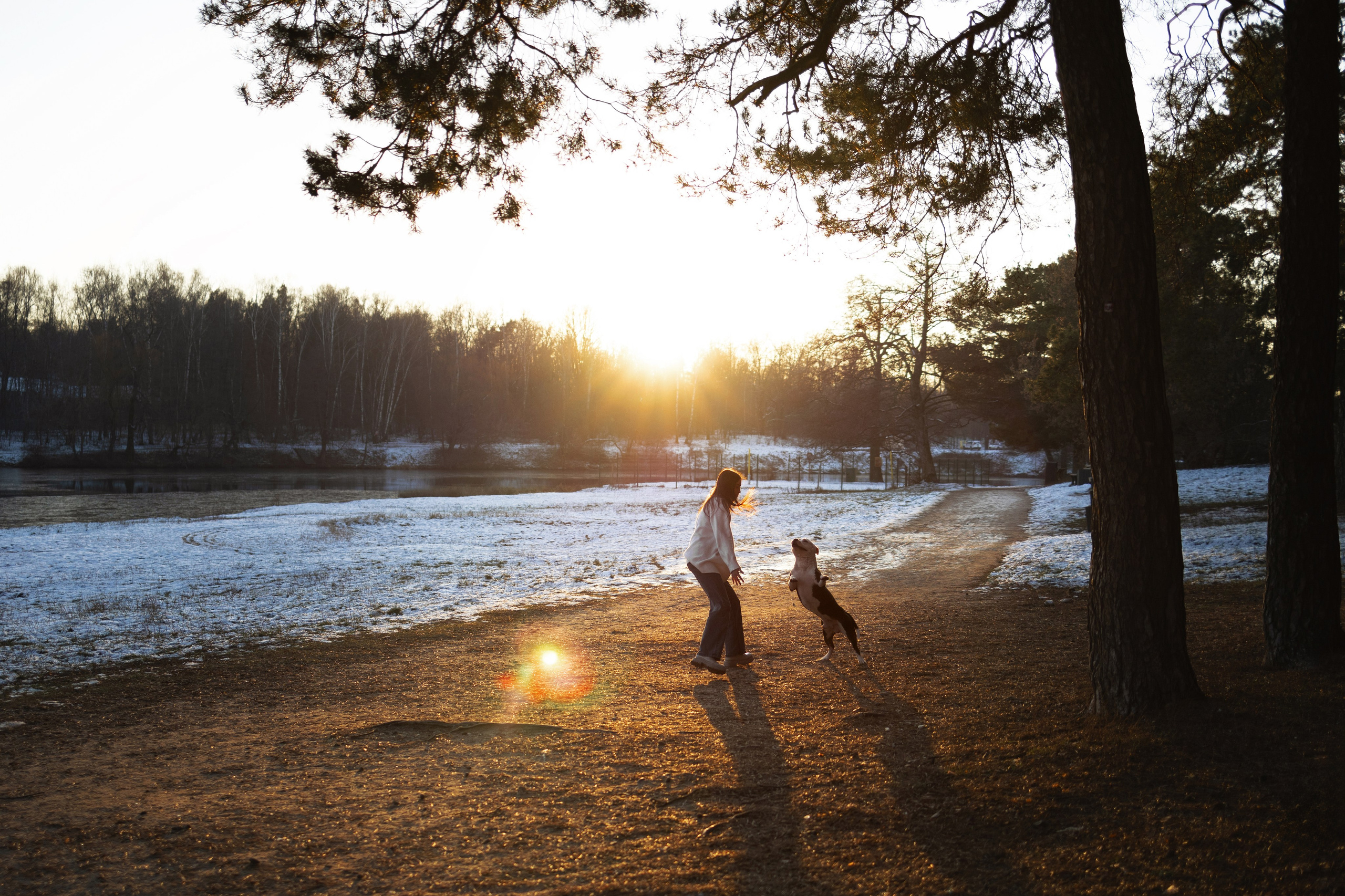 Арина и Спартак