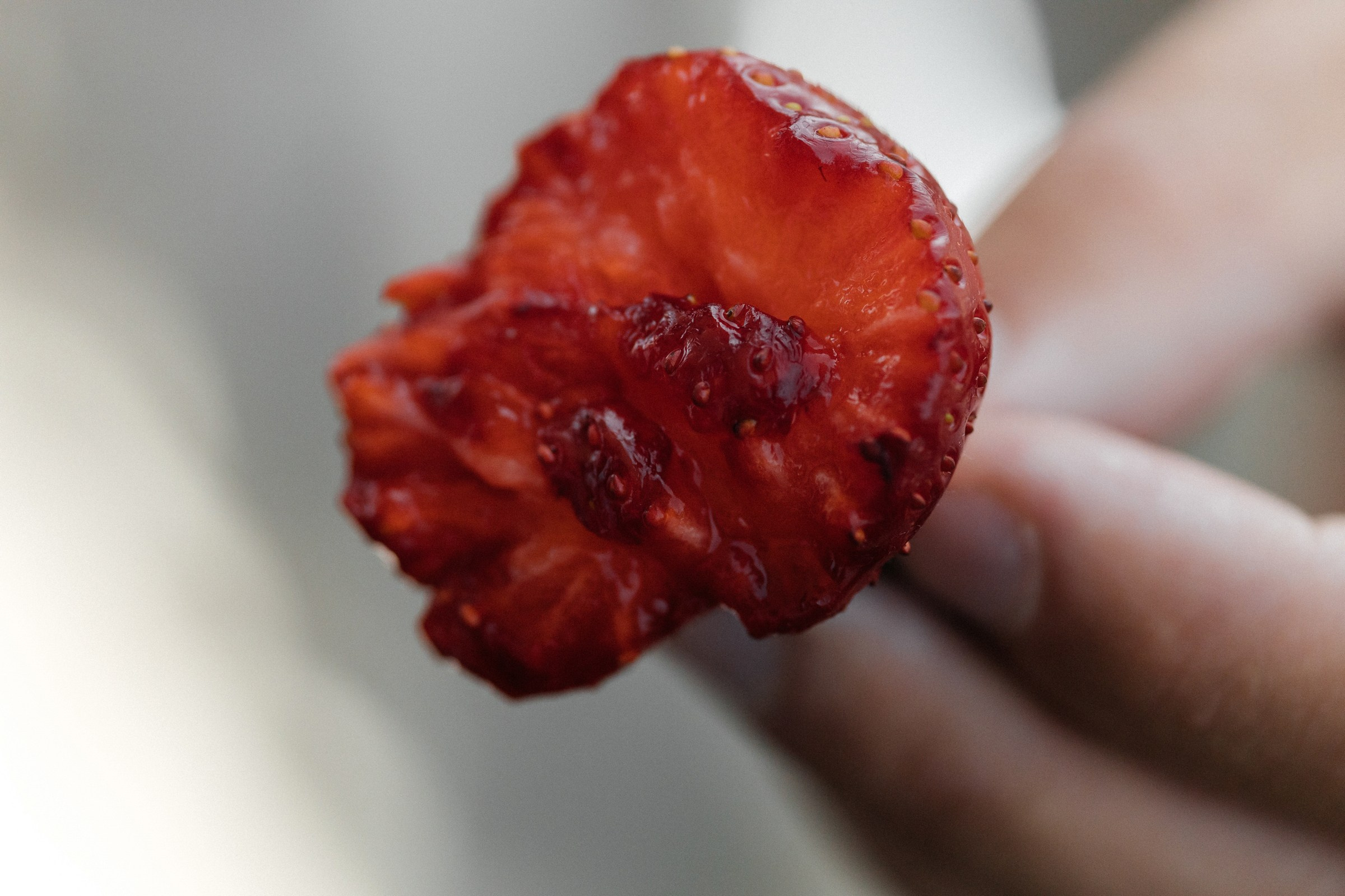 Александр и Анна (10.06.23). Свадебный фотограф в Ростове-на-Дону