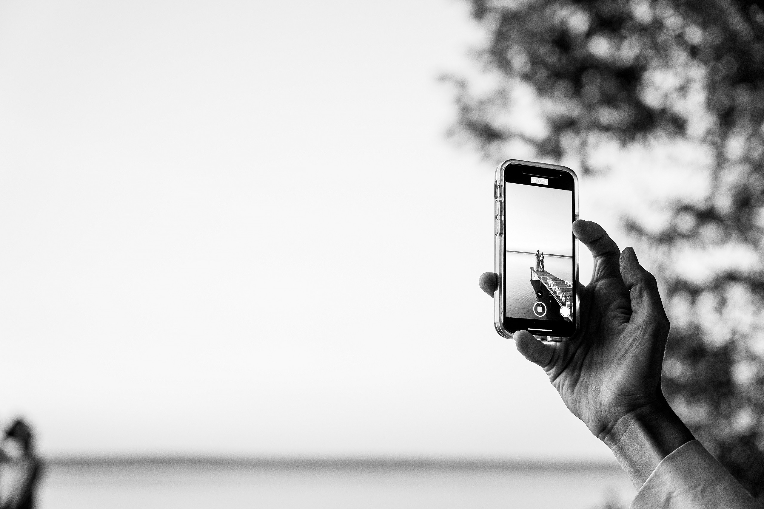 Летняя свадьба под открытым небом. Саша Потапкин Фотограф. Сочи, Екатеринбург, Москва