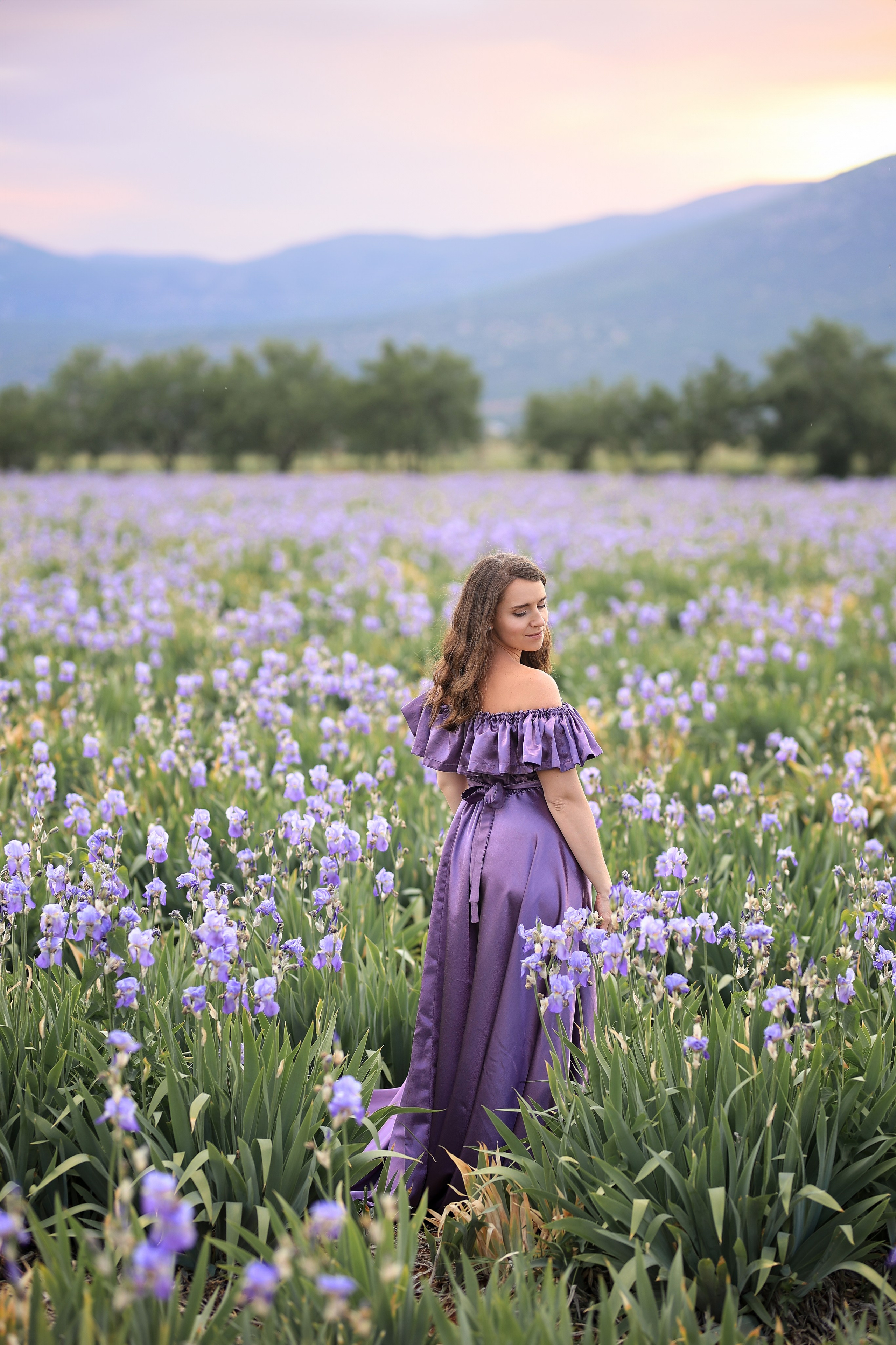 Fields of roses, irises and white poppies