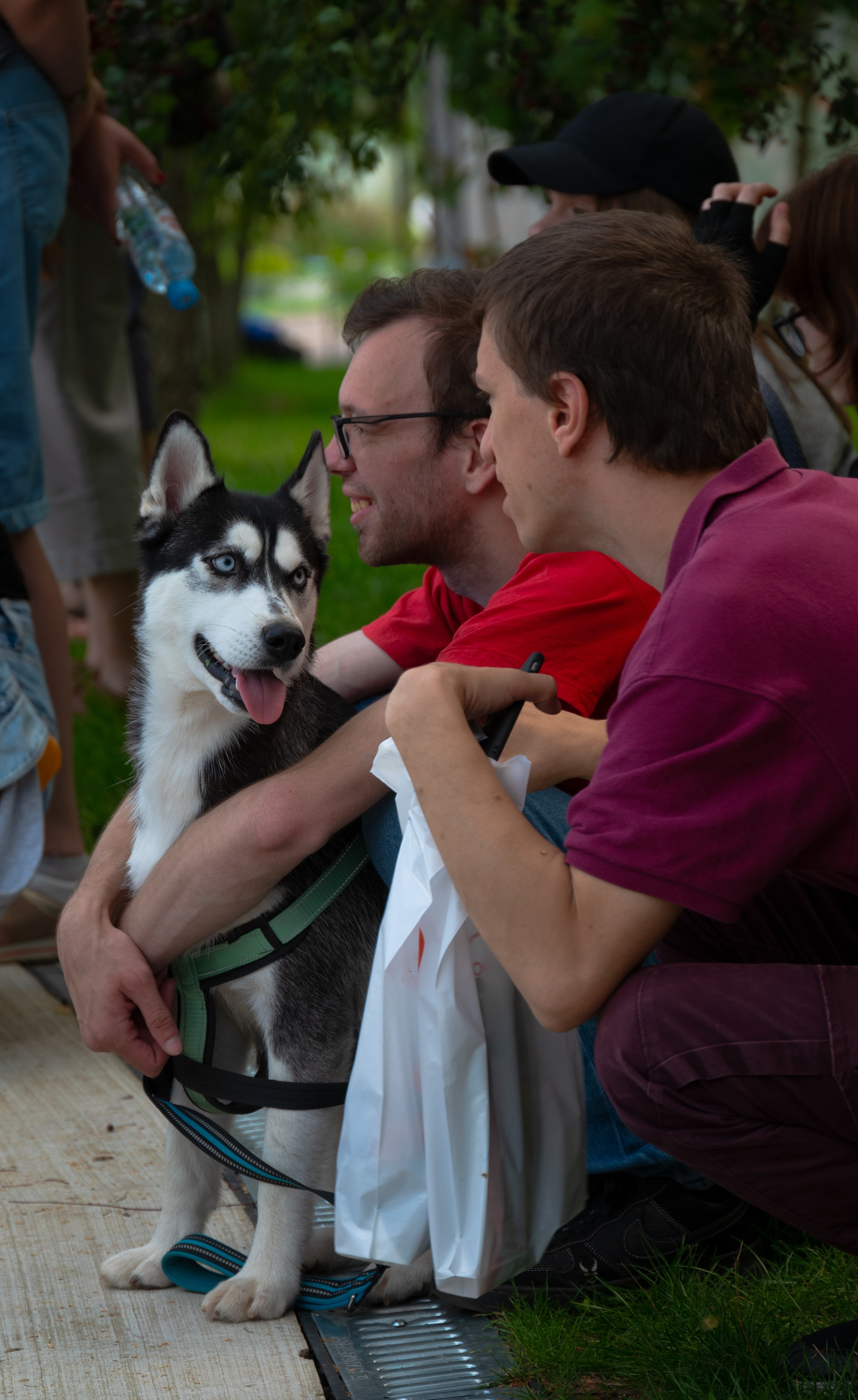 Pets Fest. Юлия Чайко, фотограф в Минске