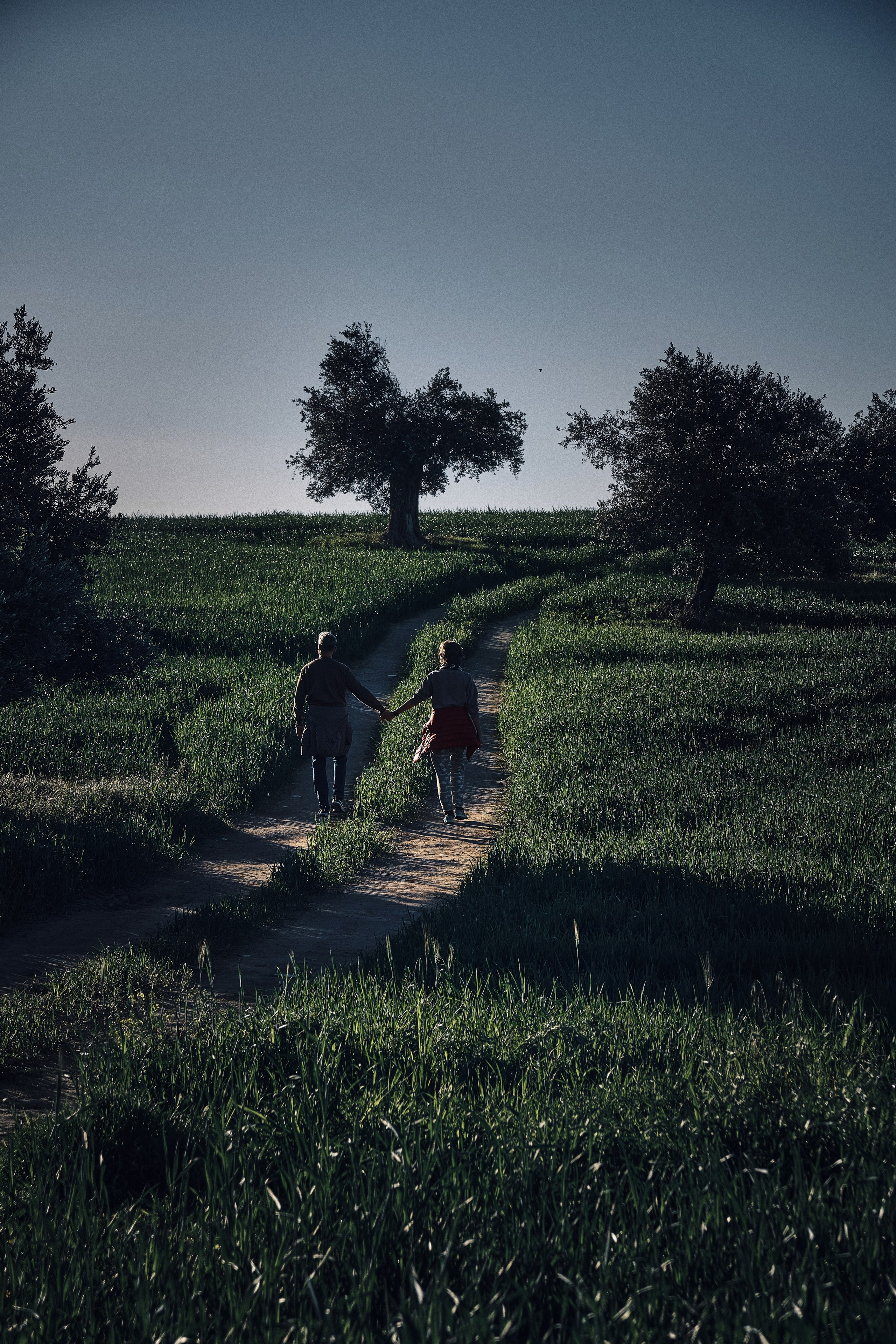 Cyprus / 2023. Aleksandr Kobtsev
