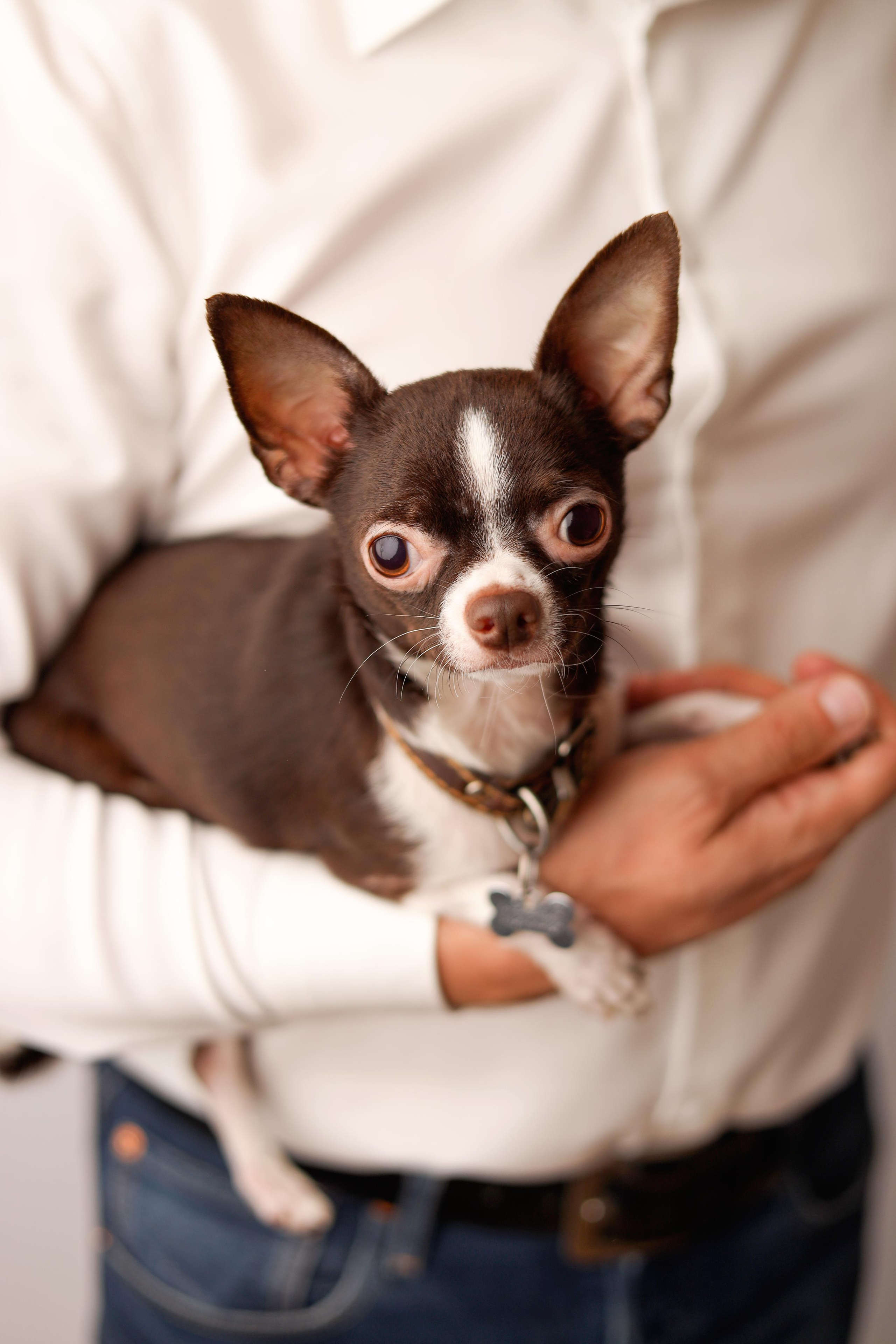 Ньюборн съемка малышки Таисии. Фотограф новорожденных Москва. Ньюборн фотограф Москва