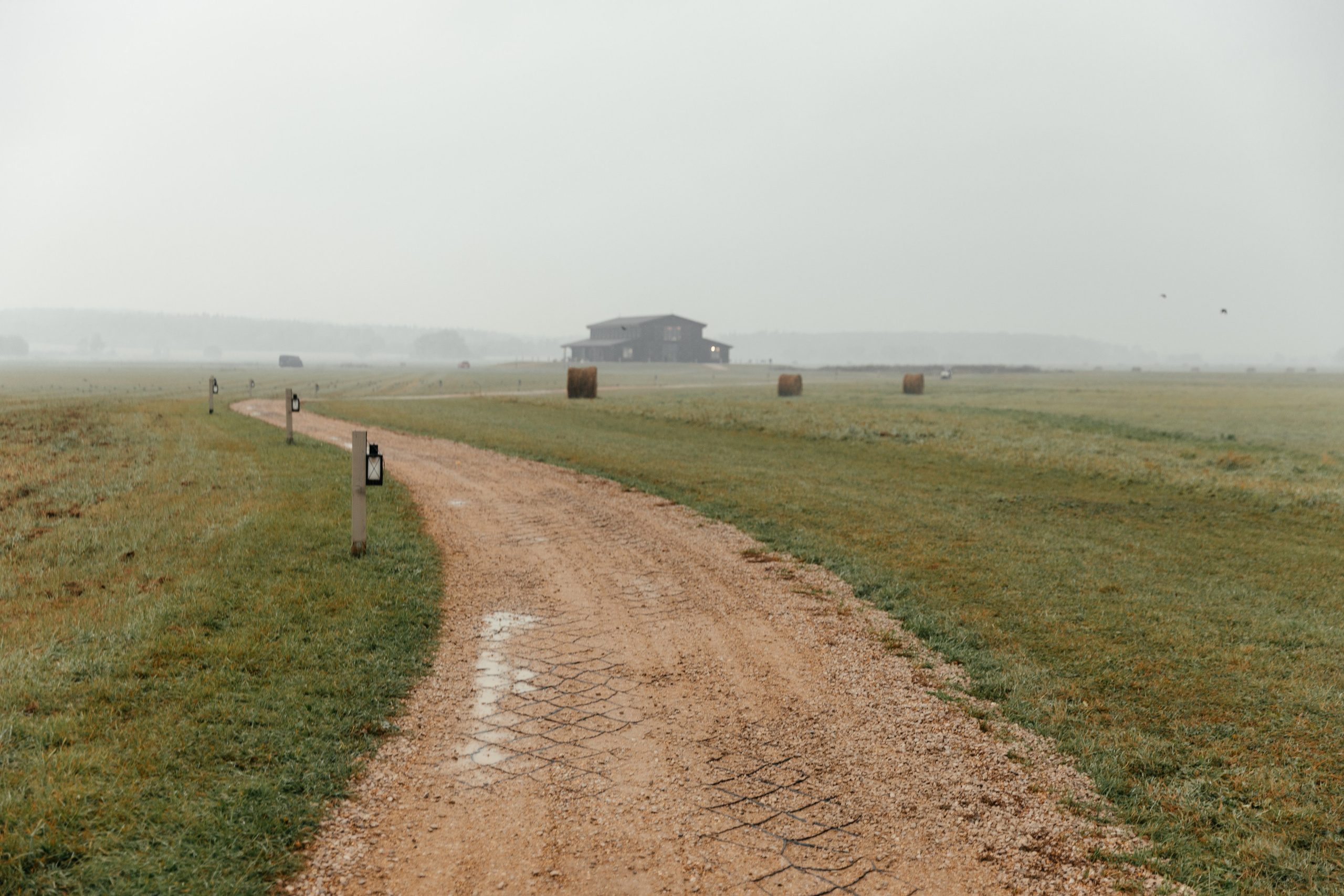 Полина и Иван | Pine River. Свадебный фотограф Ангелина Зотова | Обнинск, Москва, Калуга