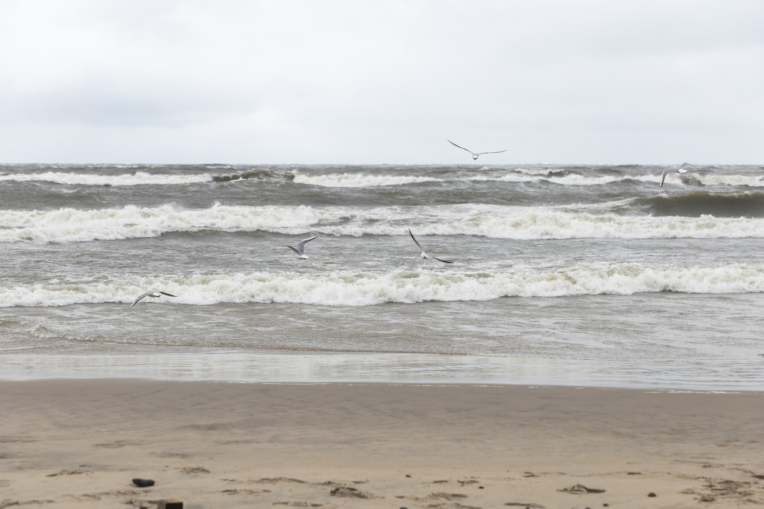 MORE. Фотограф Элла Ефимова