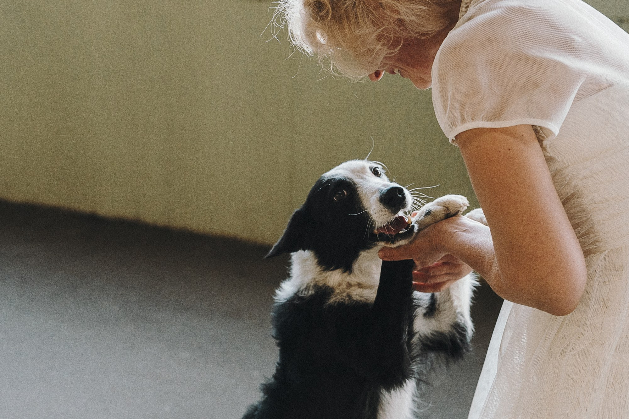 Таня, Марта и Клипса. Фотограф анималист в Москве и Санкт-Петербурге Свиридова Анна