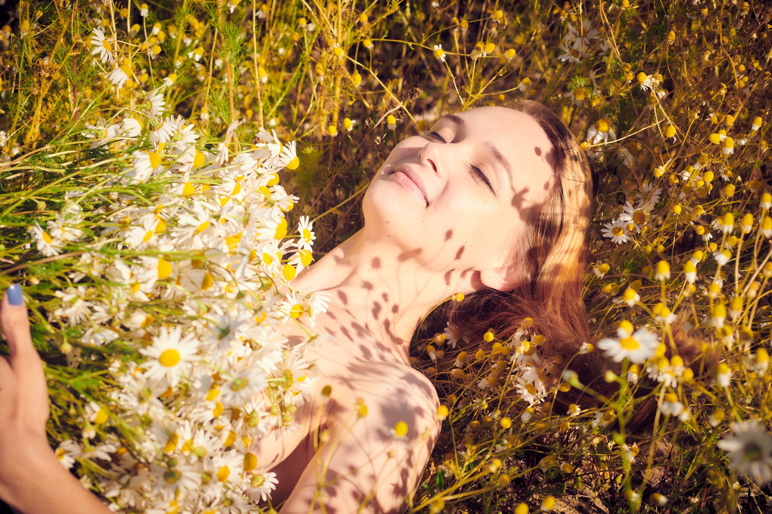В ромашках. Фотограф Мария Оленева