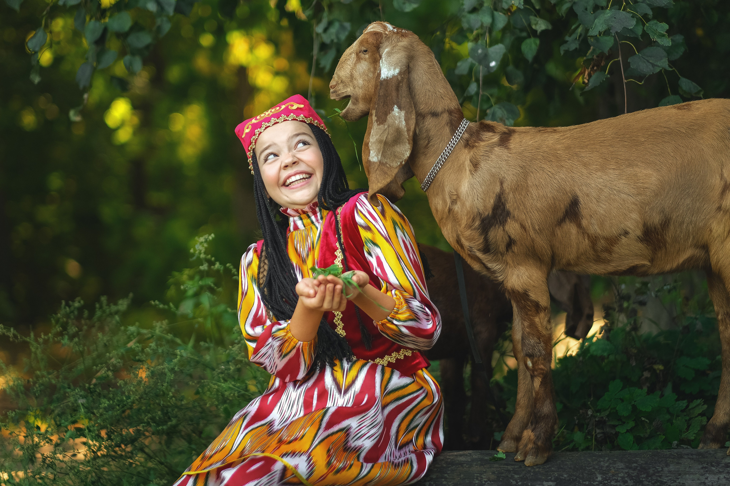 Девочка боится козлика