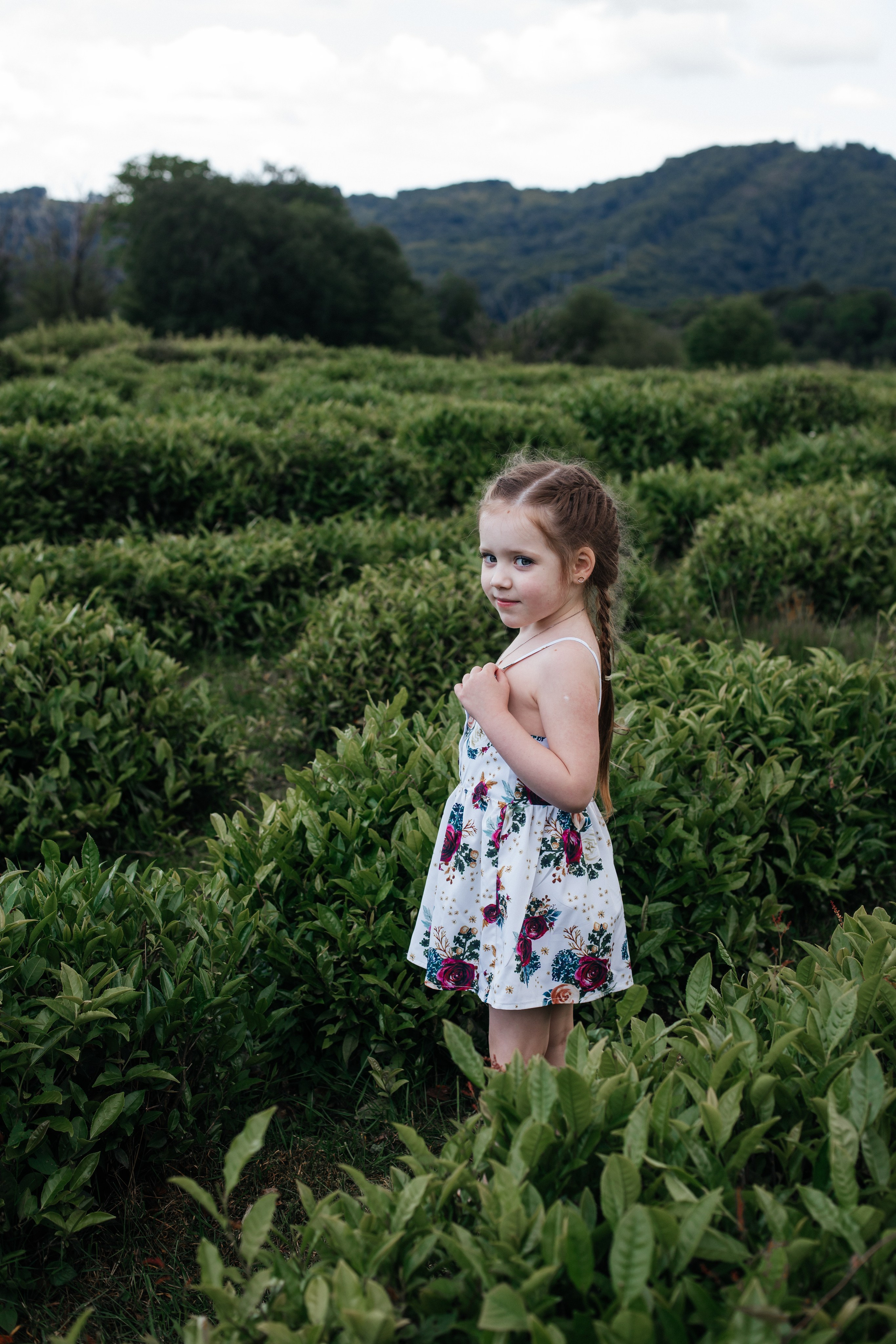 Tea plantation. Efimova Model Agency