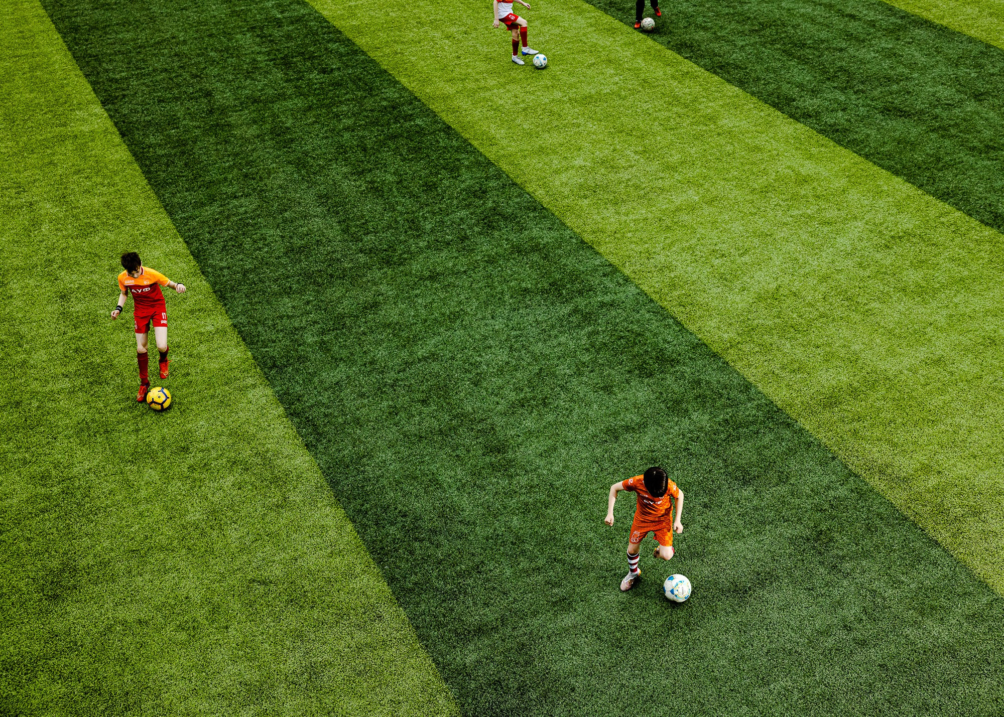 Симплспорт