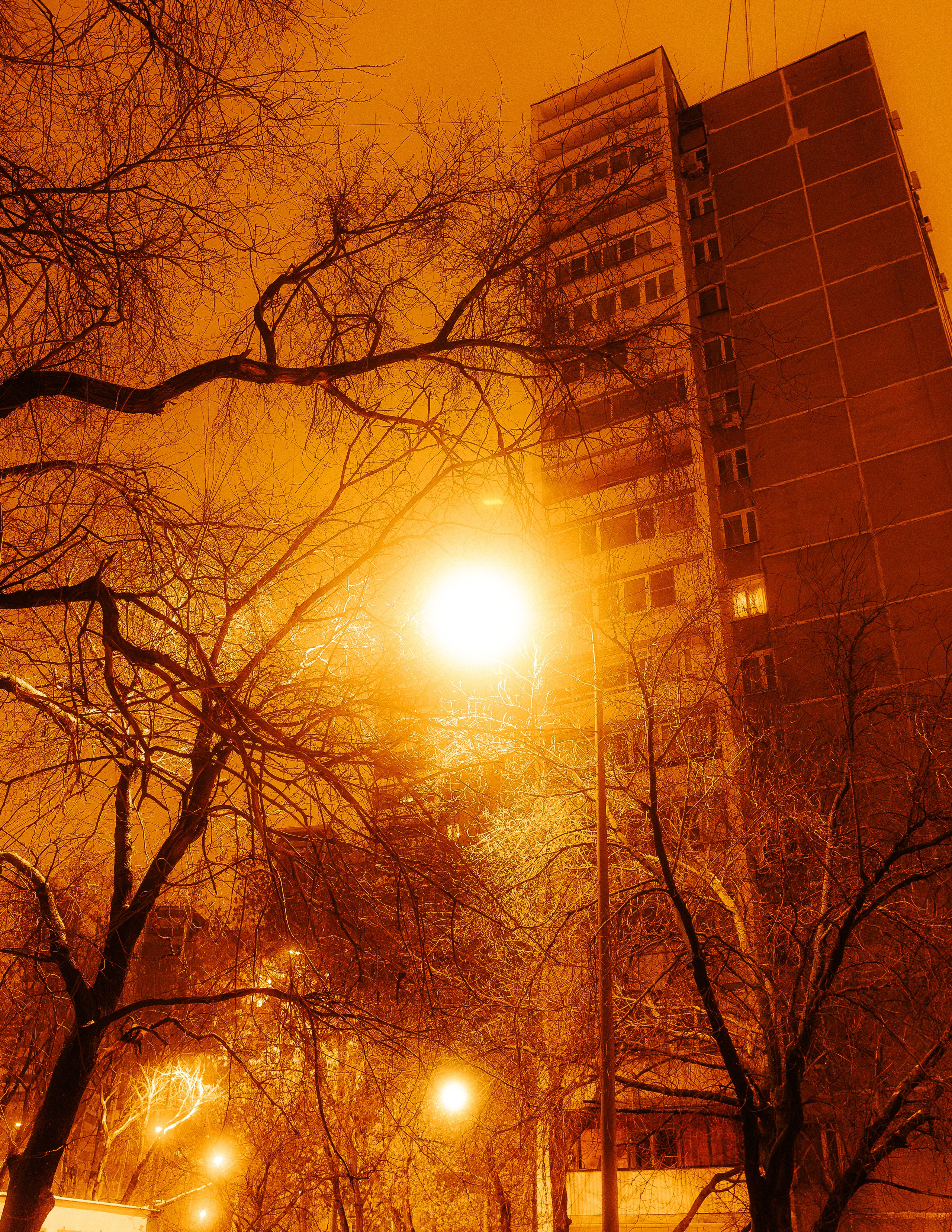 Саша Ковальчук — Репортажный Фотограф