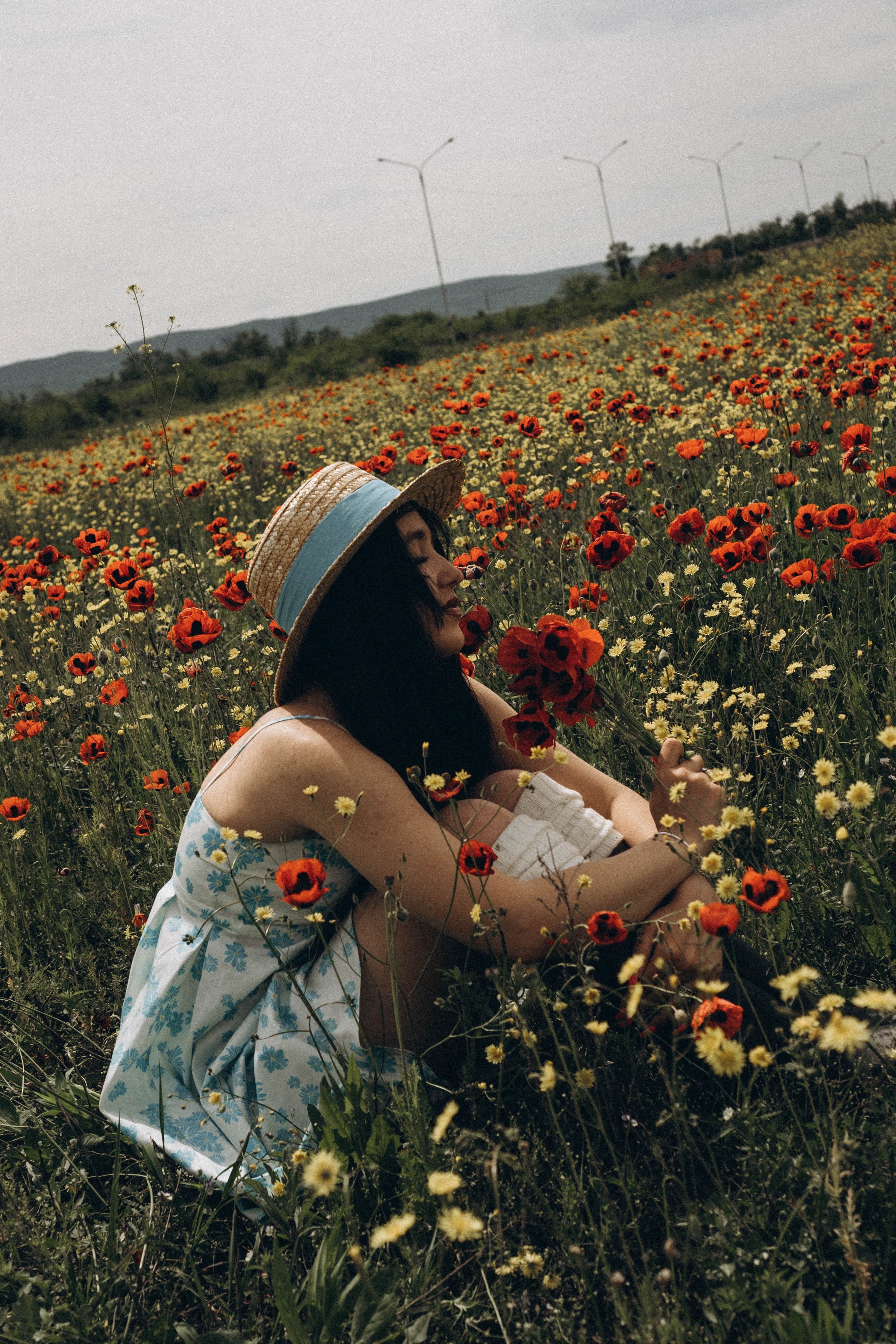Цветочная поляна. Профессиональный фотограф, Санкт-Петербург — Виктория Богомолова