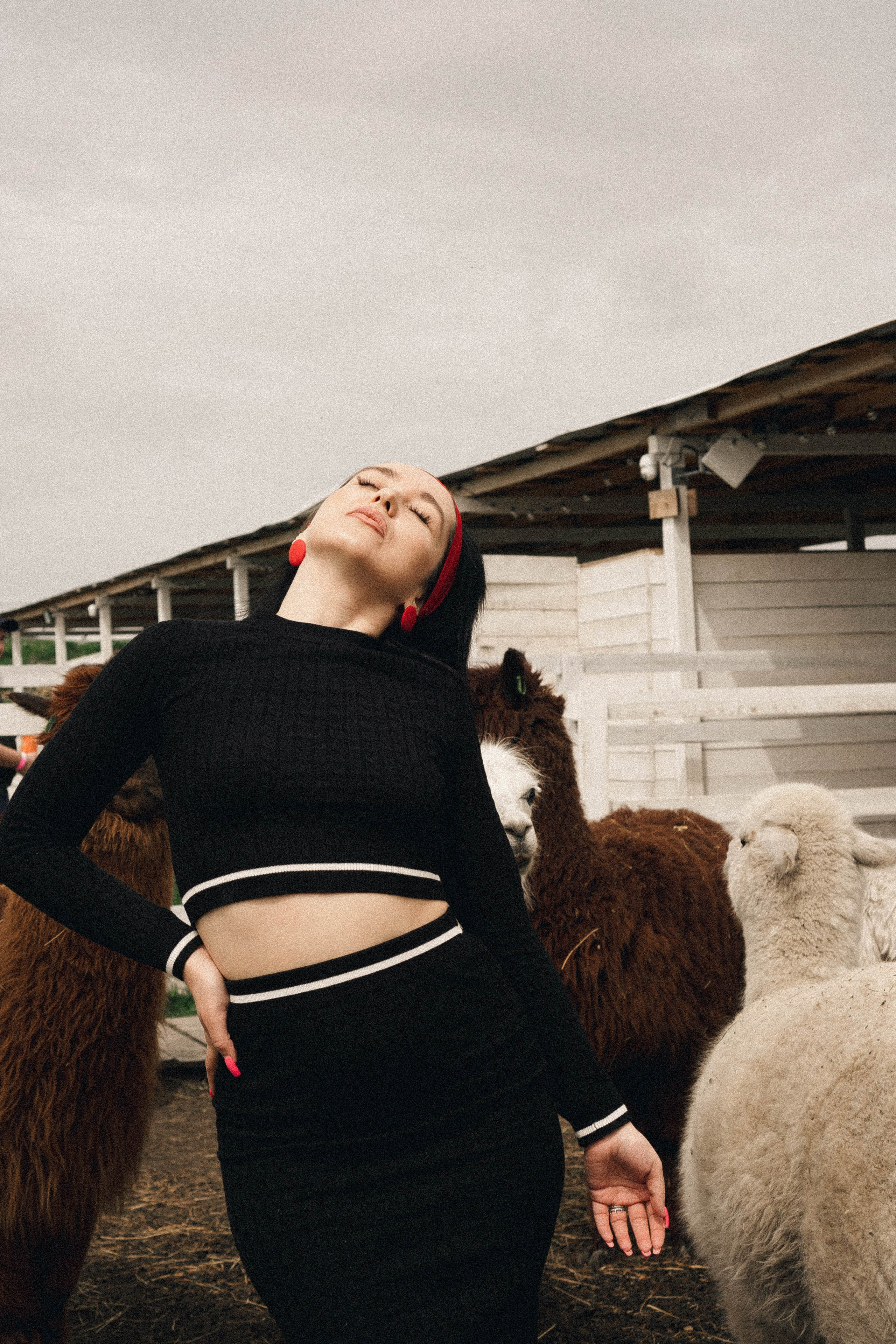Ферма Альпак. Профессиональный фотограф, Санкт-Петербург — Виктория Богомолова