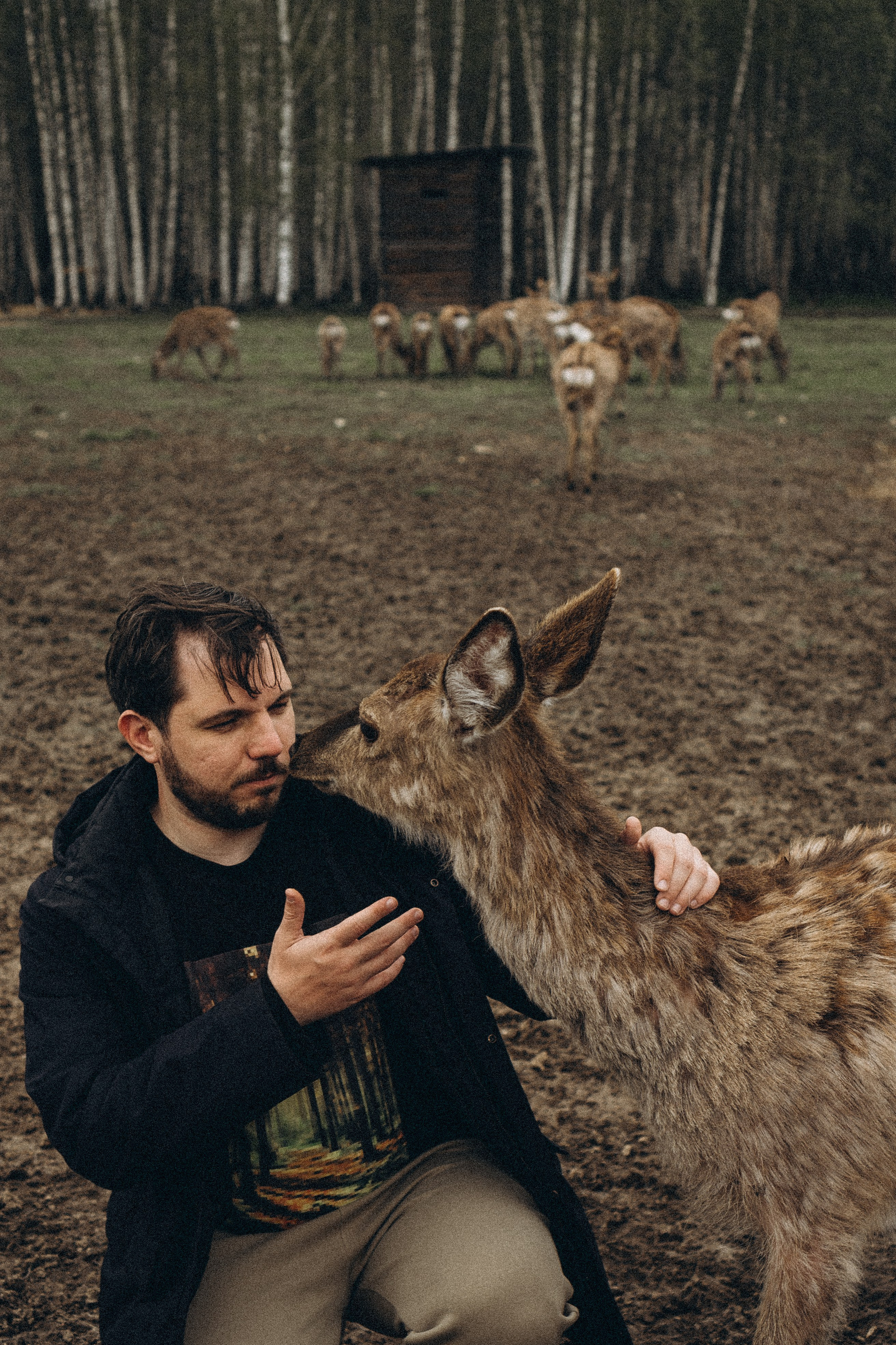 ОЛЕНЬЯ ФЕРМА В ТВЕРИ. Профессиональный фотограф, Санкт-Петербург — Виктория Богомолова
