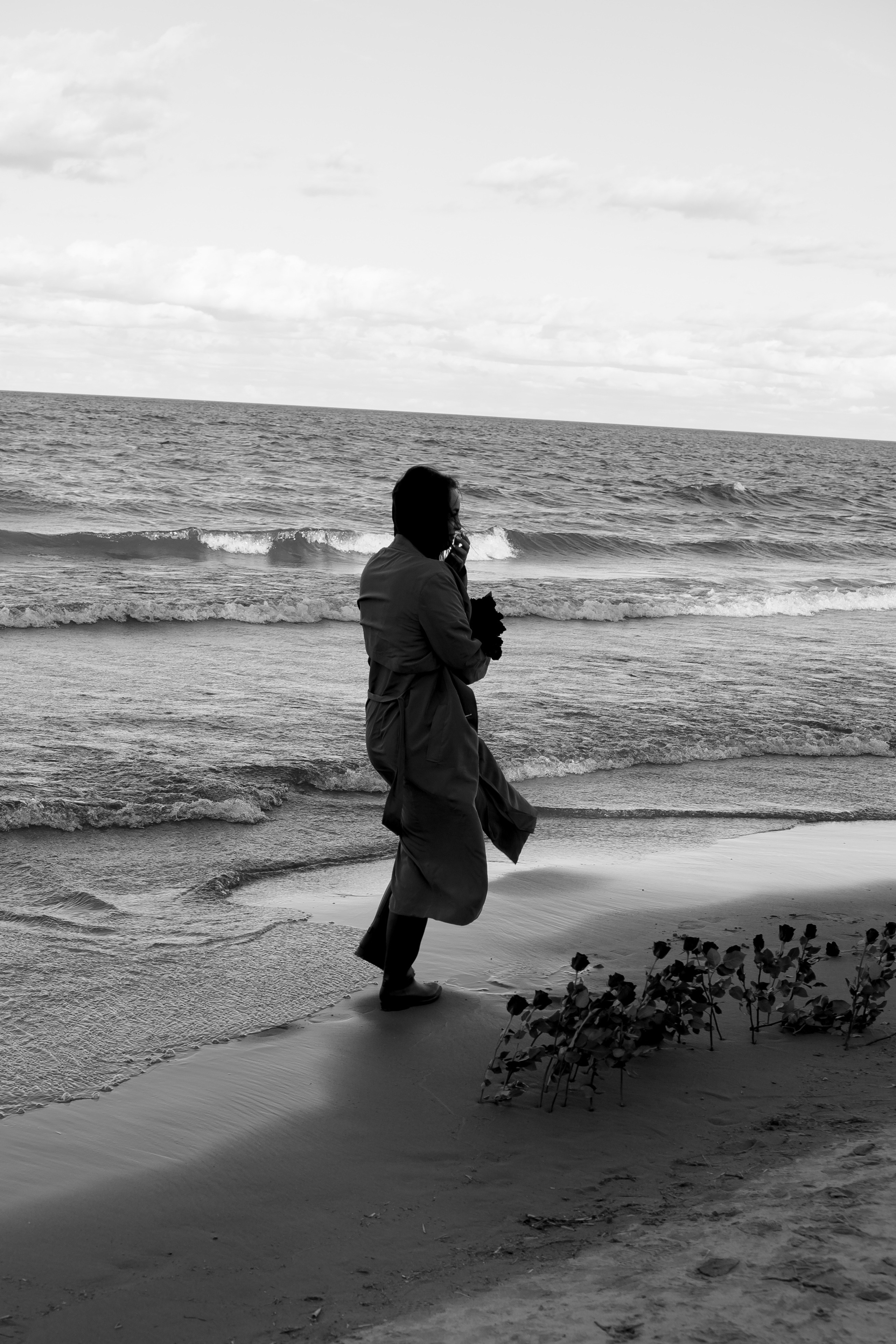 Розы. Профессиональный фотограф, Санкт-Петербург — Виктория Богомолова