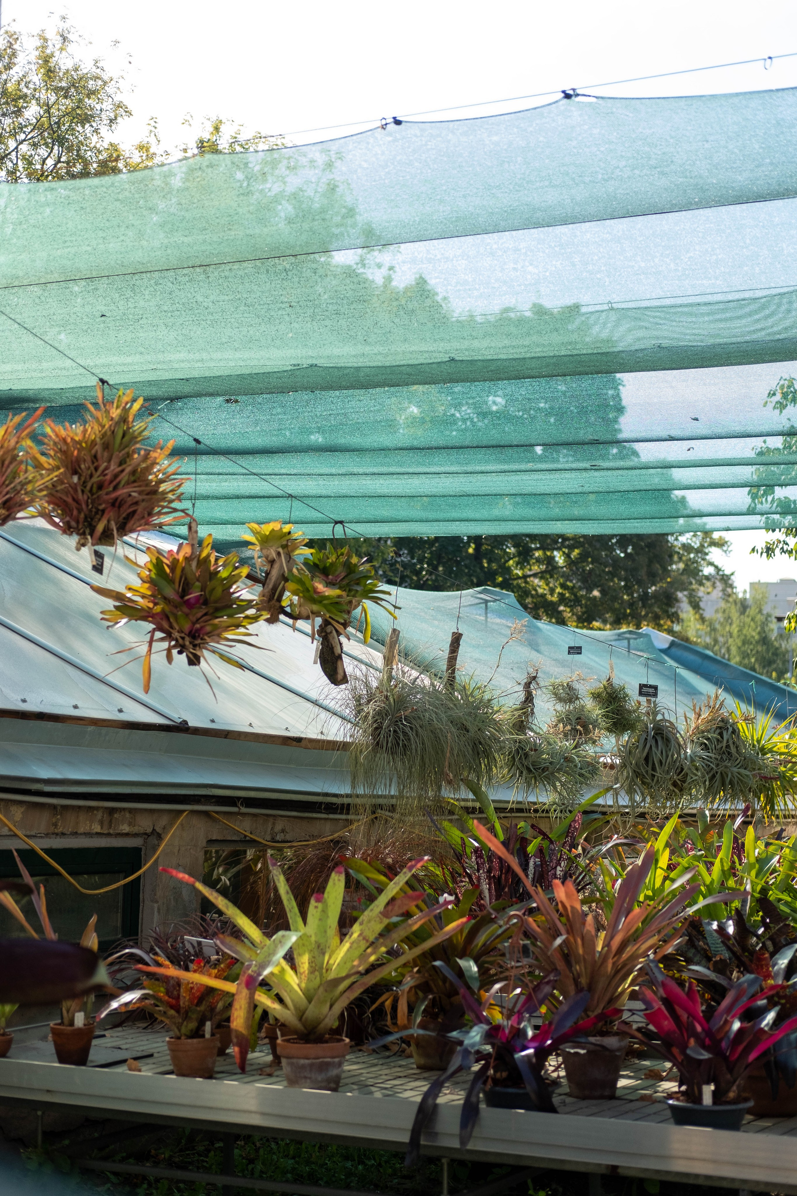 Москва 2024. Свадебный и семейный фотограф в Новосибирске, Санкт-Петербурге, Москве