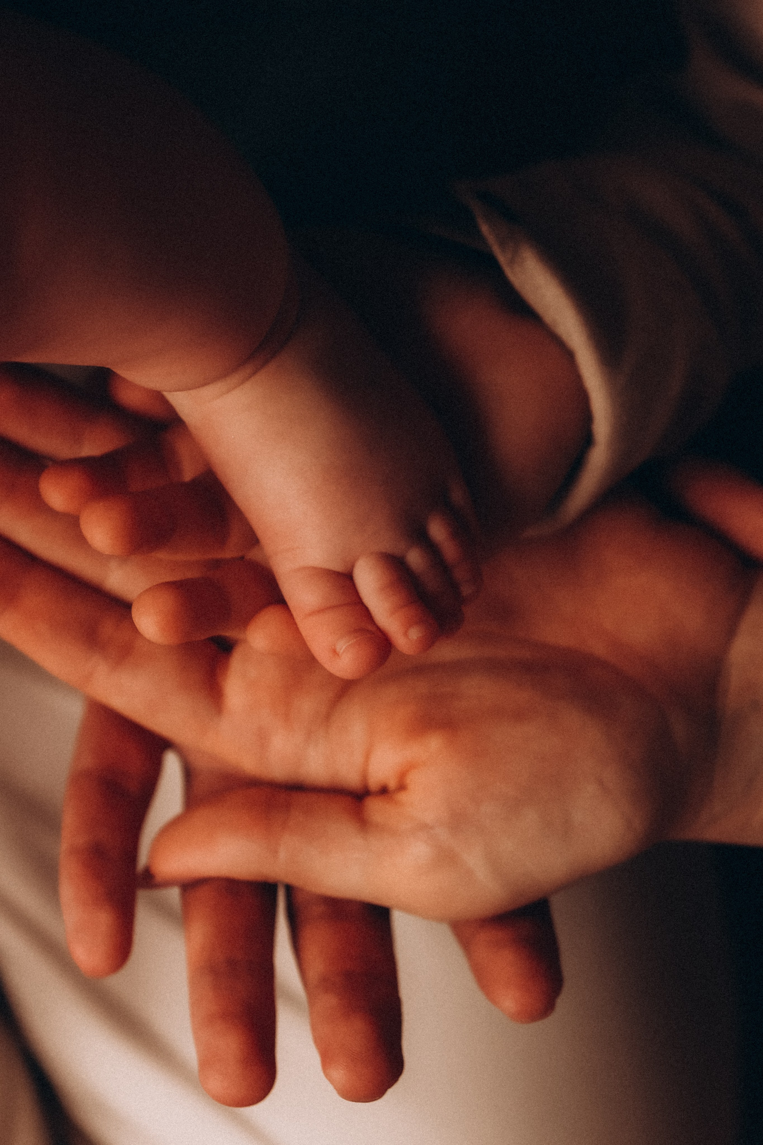 Александр, Ксения, Тимофей, Мирон