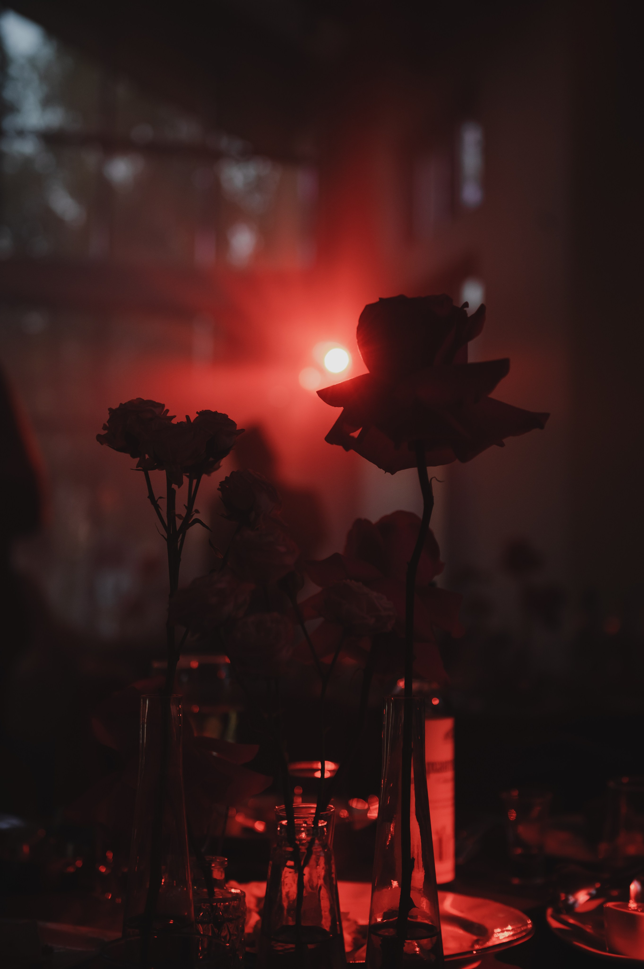 Юля и Ерлан. Свадебный и семейный фотограф Катя Шайни