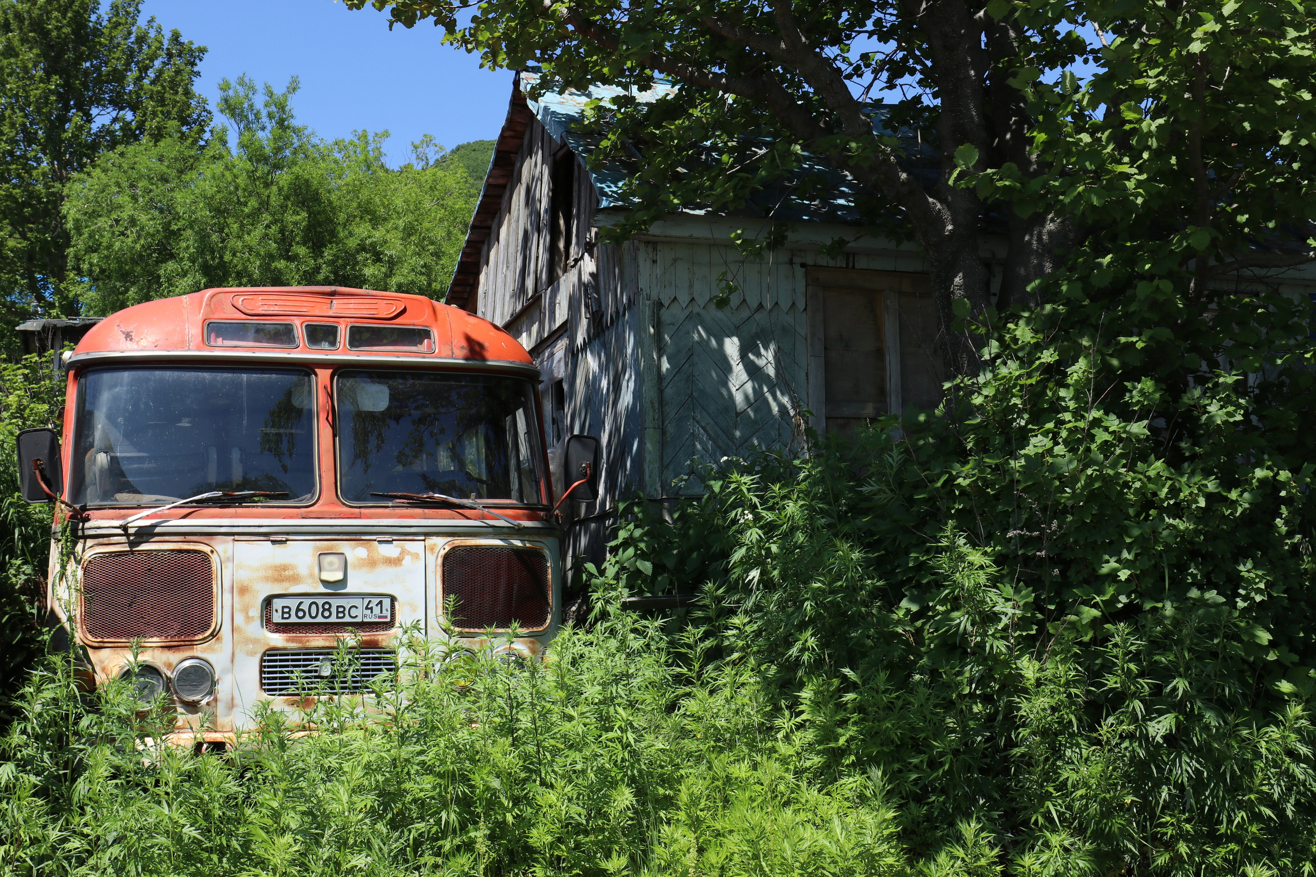 Камчатка и о. Парамушир. Июль 2024. Путешественник-фотограф из Санкт-Петербурга Татьяна Свистулина