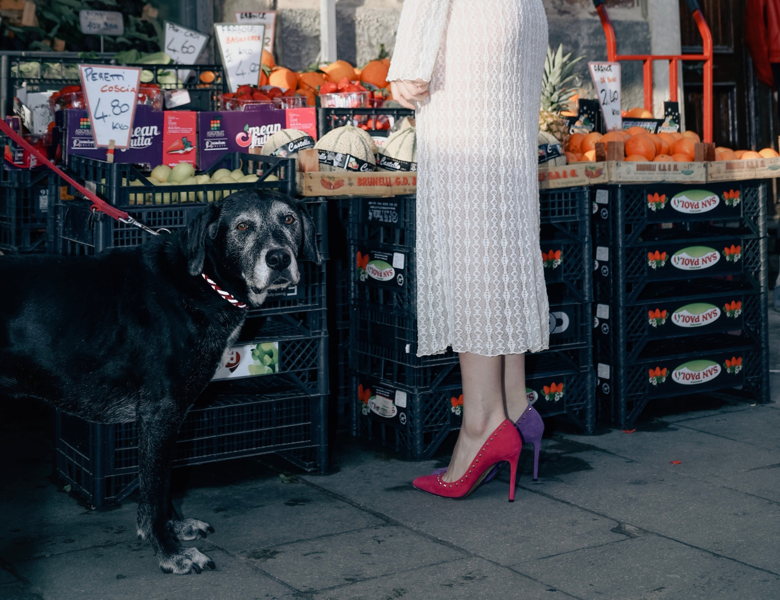 Sandro Vicari. Фотограф в Москве