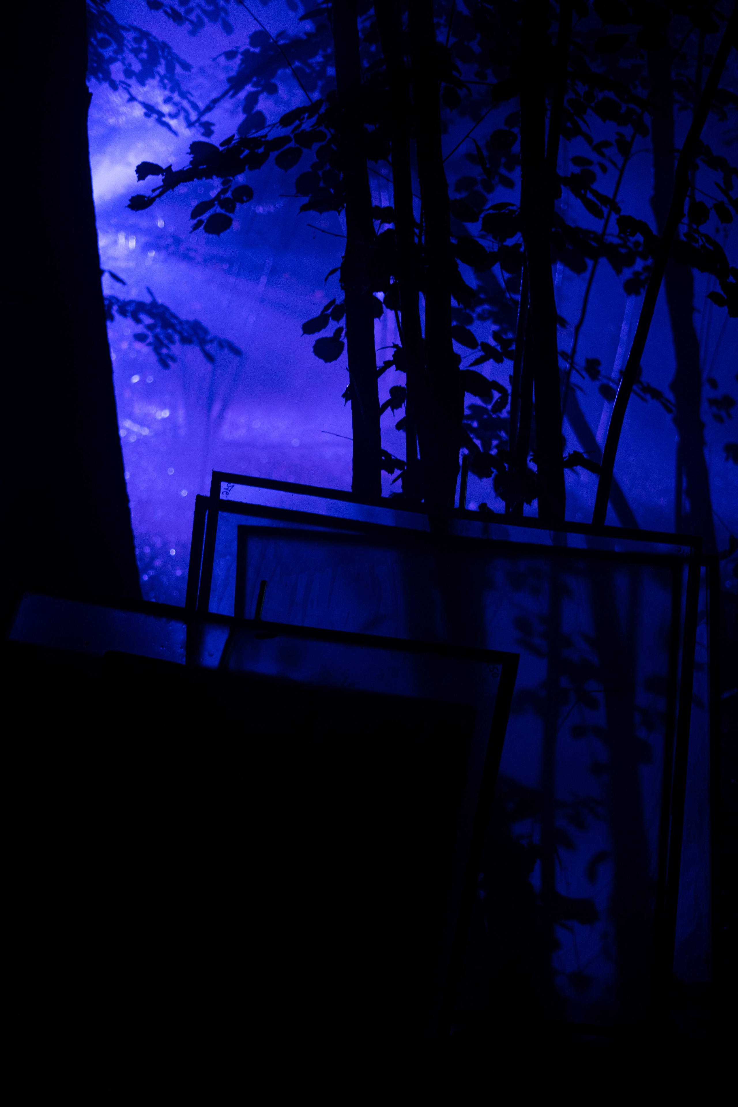 «Панчер» 2024 режиссер Евгений Татаров. Ольга Ибатуллина