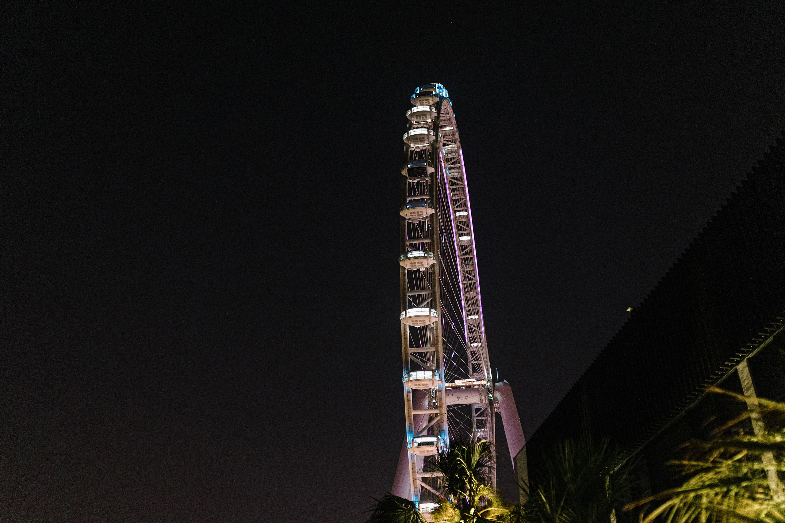 Chris & Reem 2022 Dubai. Свадебный и семейный фотограф в Москве