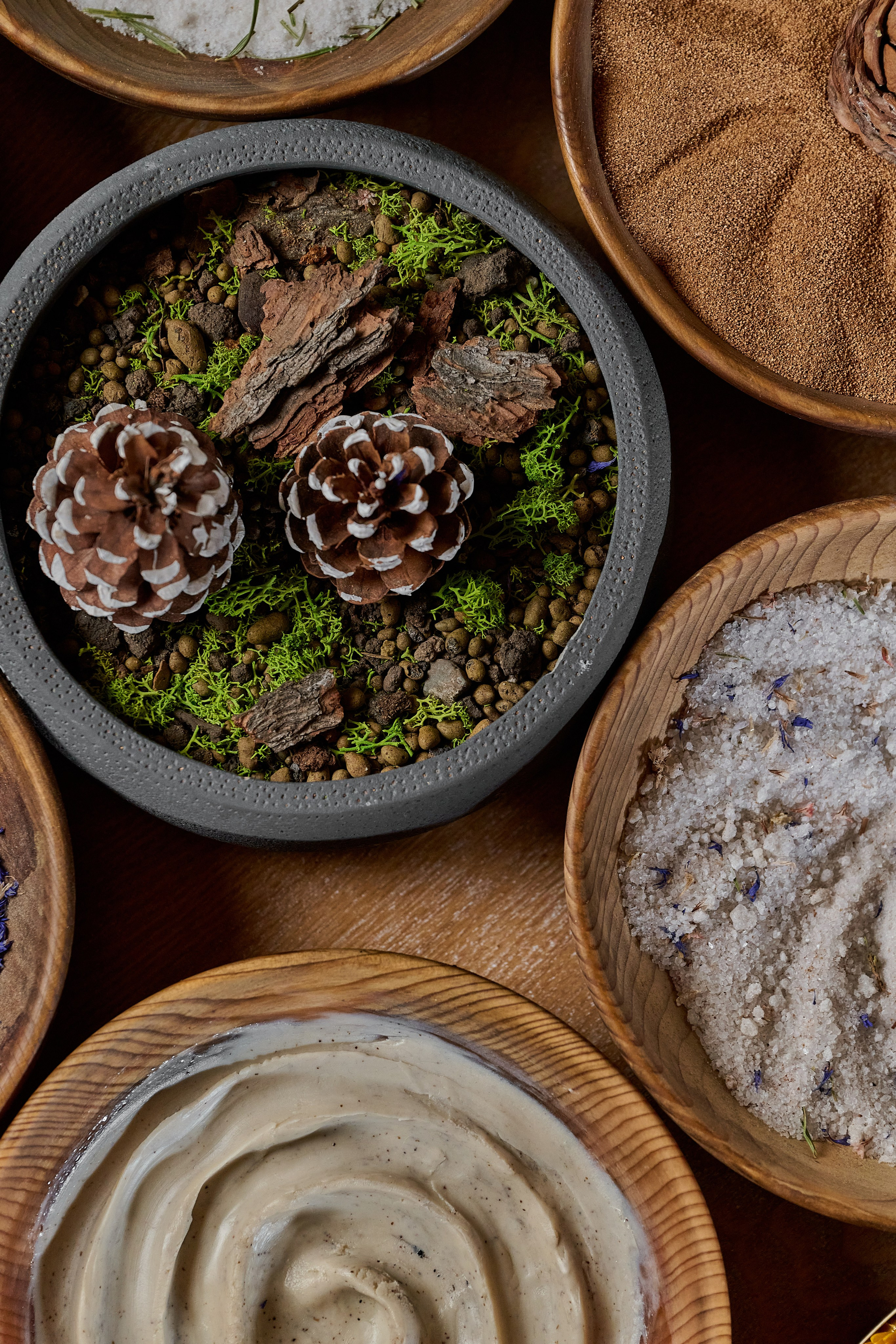 Общее портфолио. Фотограф Барнаул Горный Алтай