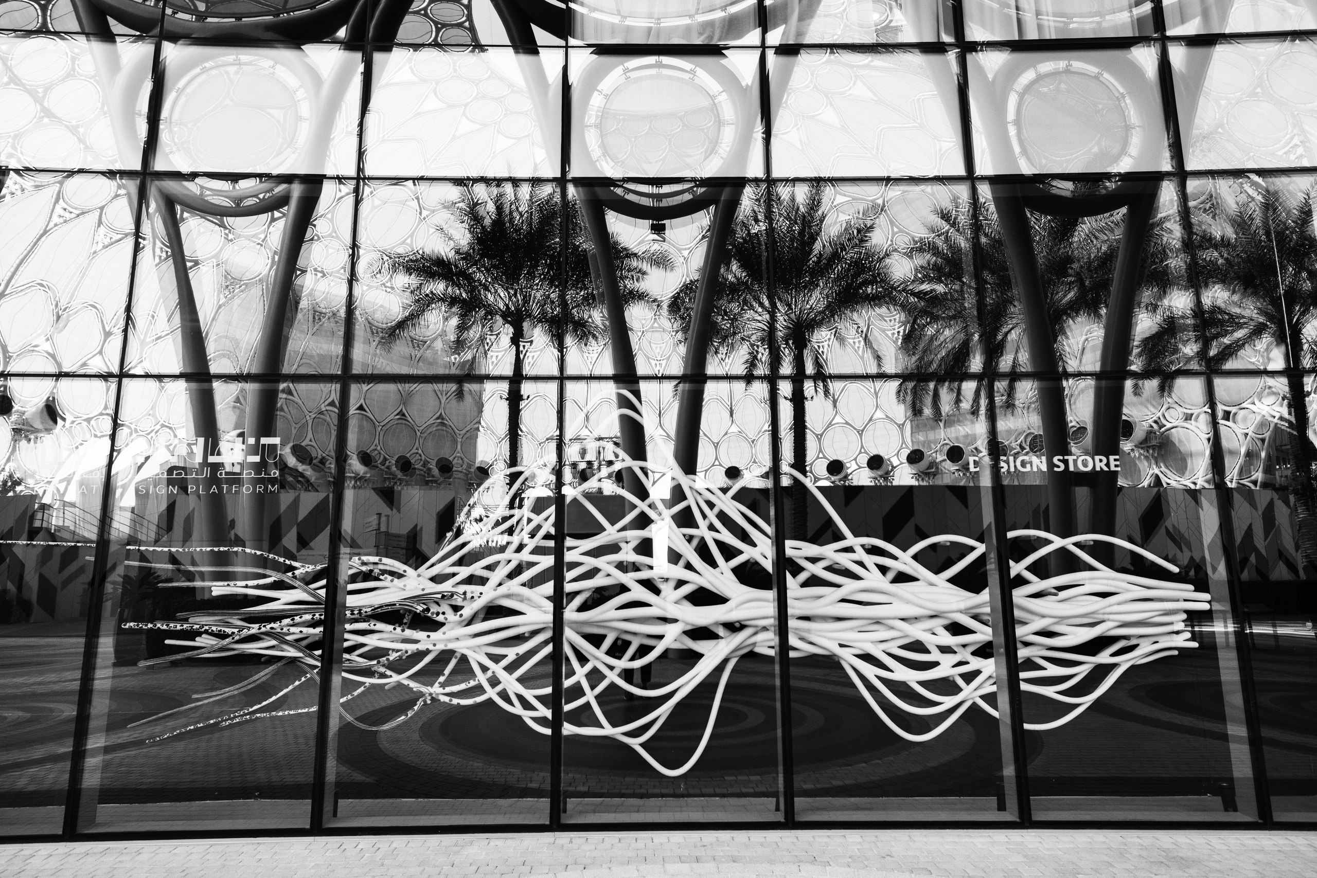 Дубай 2023. Руслан Плахтеев