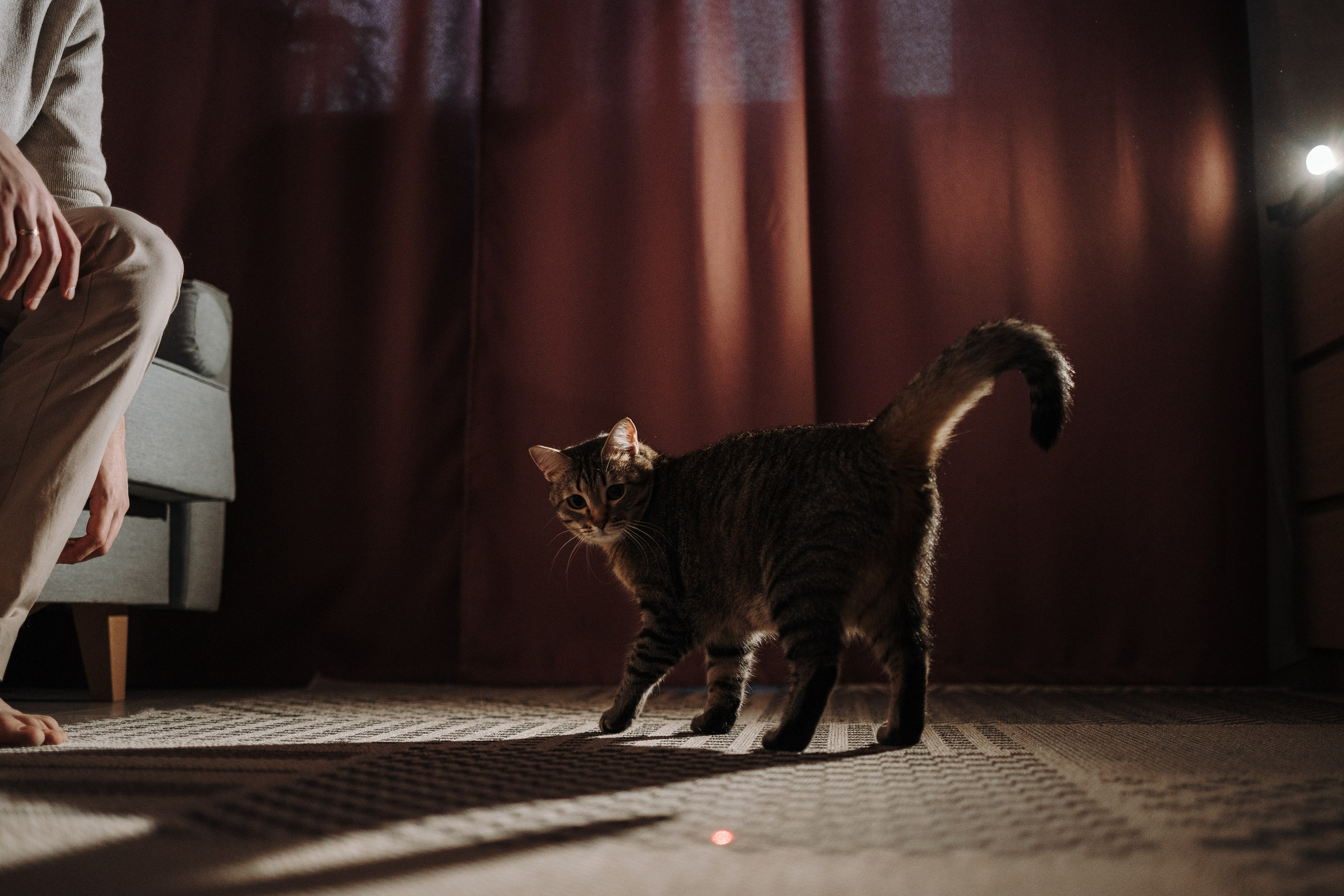 Мася и ее семья. Фотограф — Анималист | Санкт-Петербург