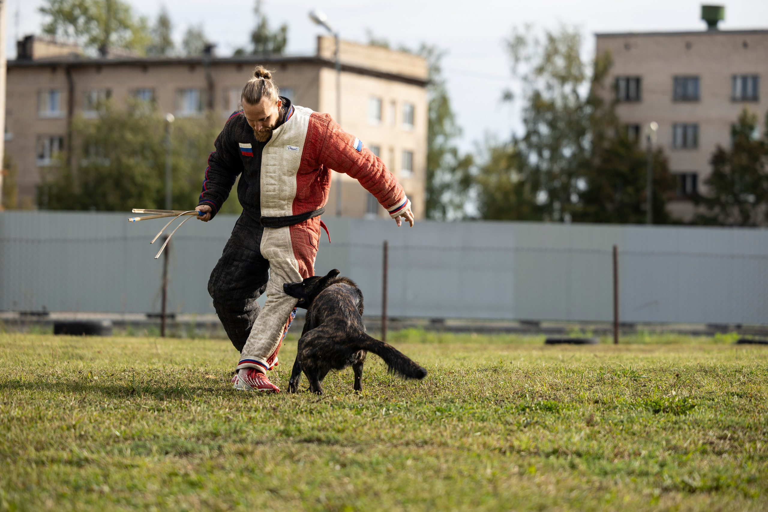 Испытания по Мондьорингу г. Пушкин. Фотограф-анималист Анна Маринич