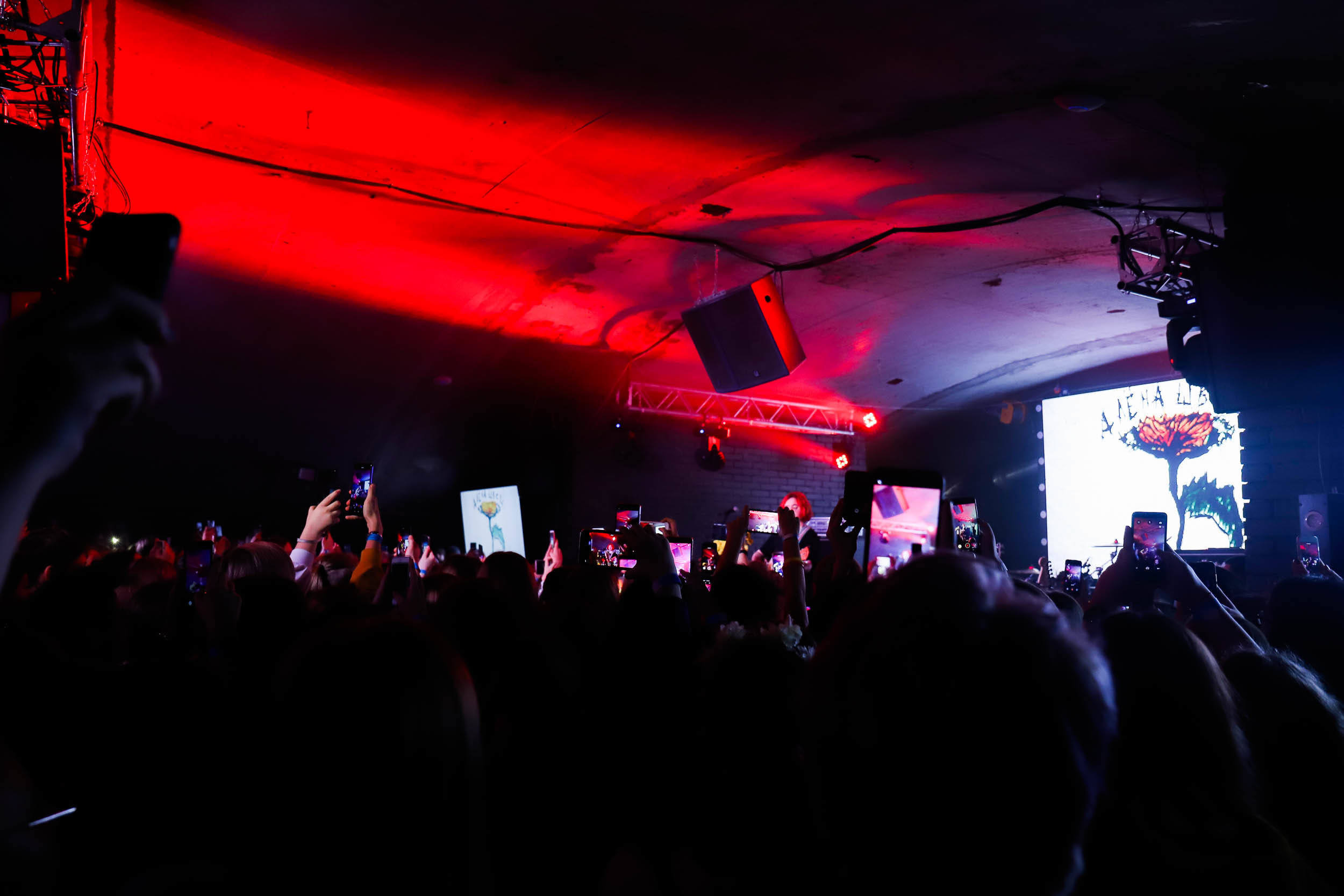 Алёна Швец Новосибирск. Фотограф Томск Скавронский Даниил