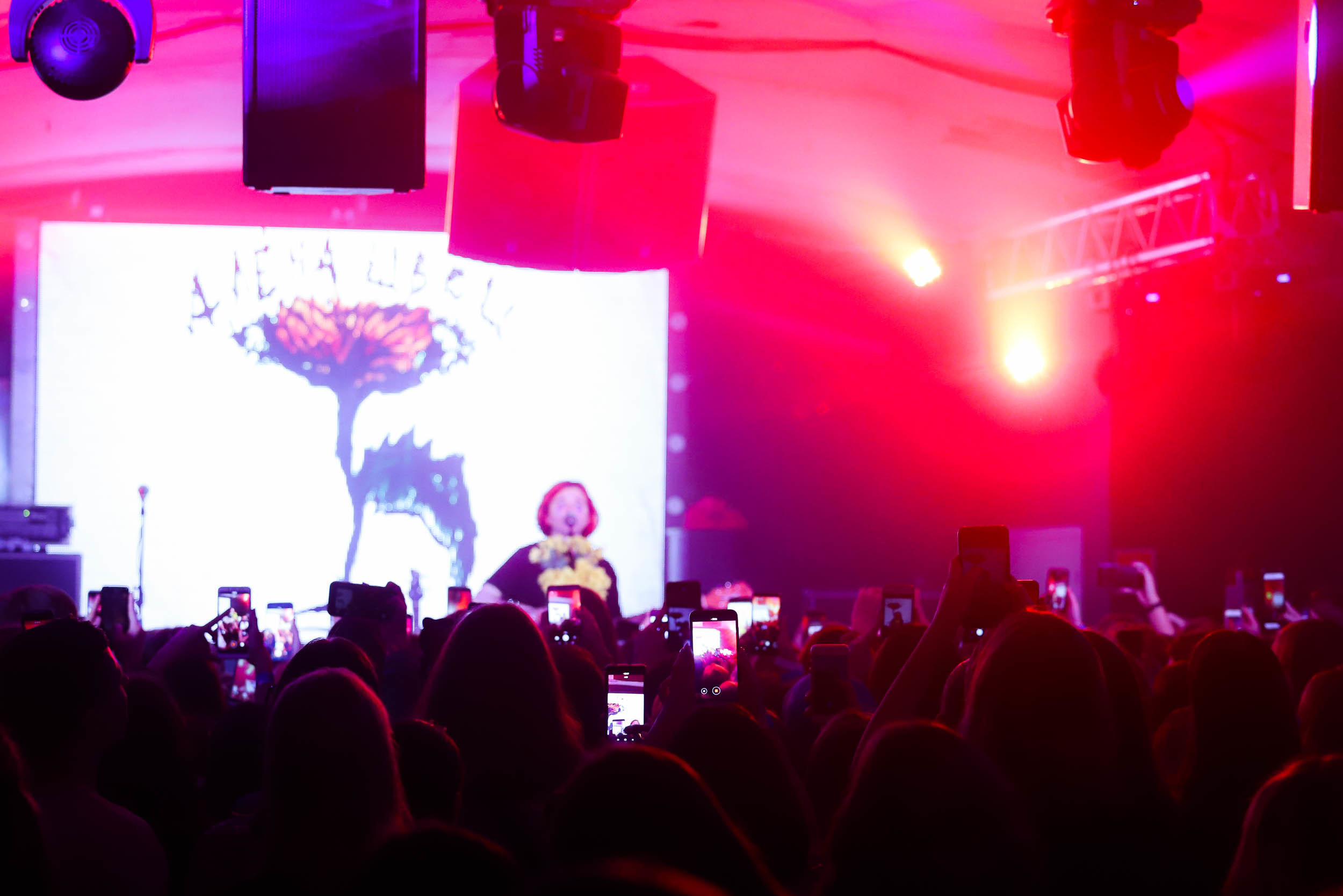 Алёна Швец Новосибирск. Фотограф Томск Скавронский Даниил