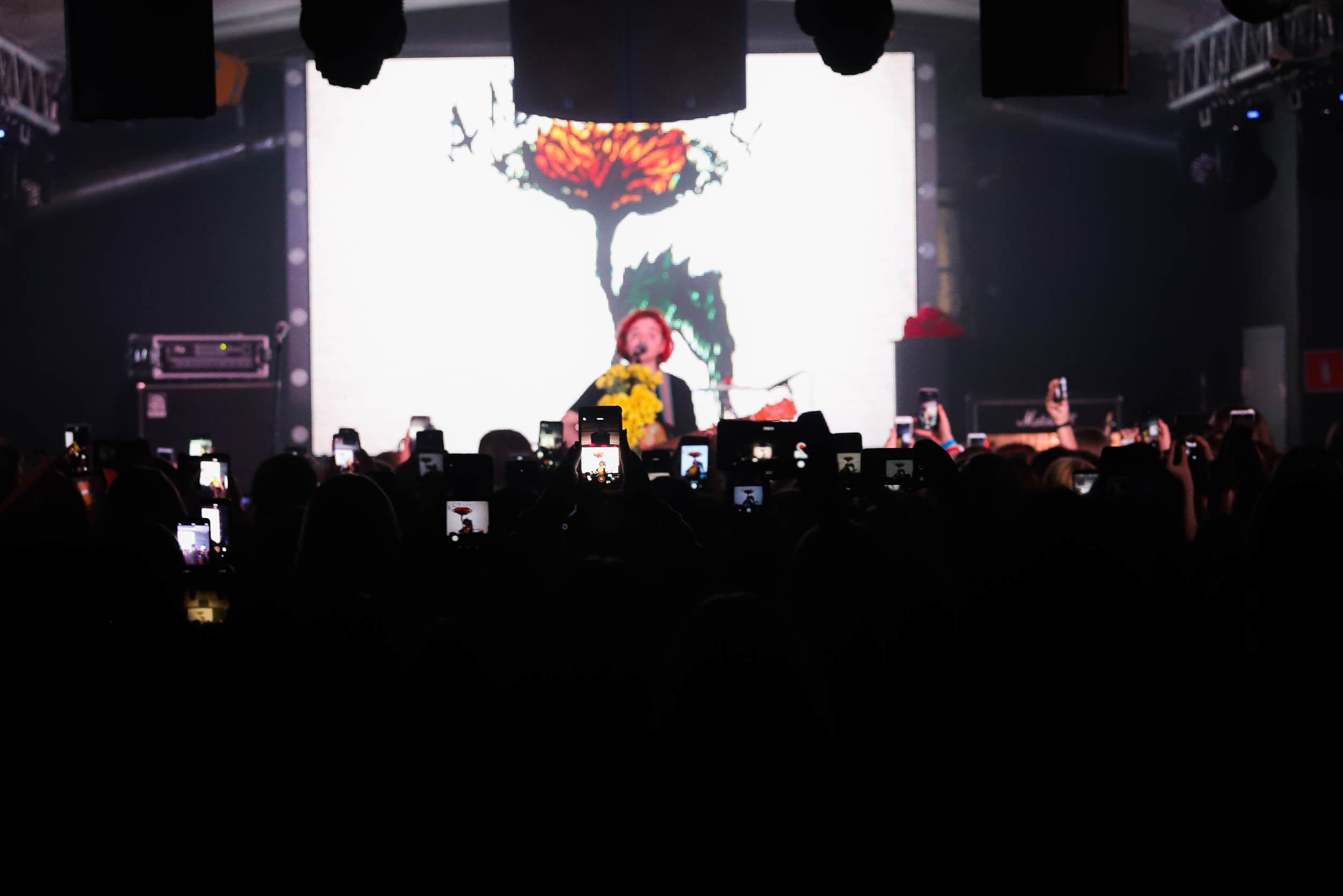 Алёна Швец Новосибирск. Фотограф Томск Скавронский Даниил