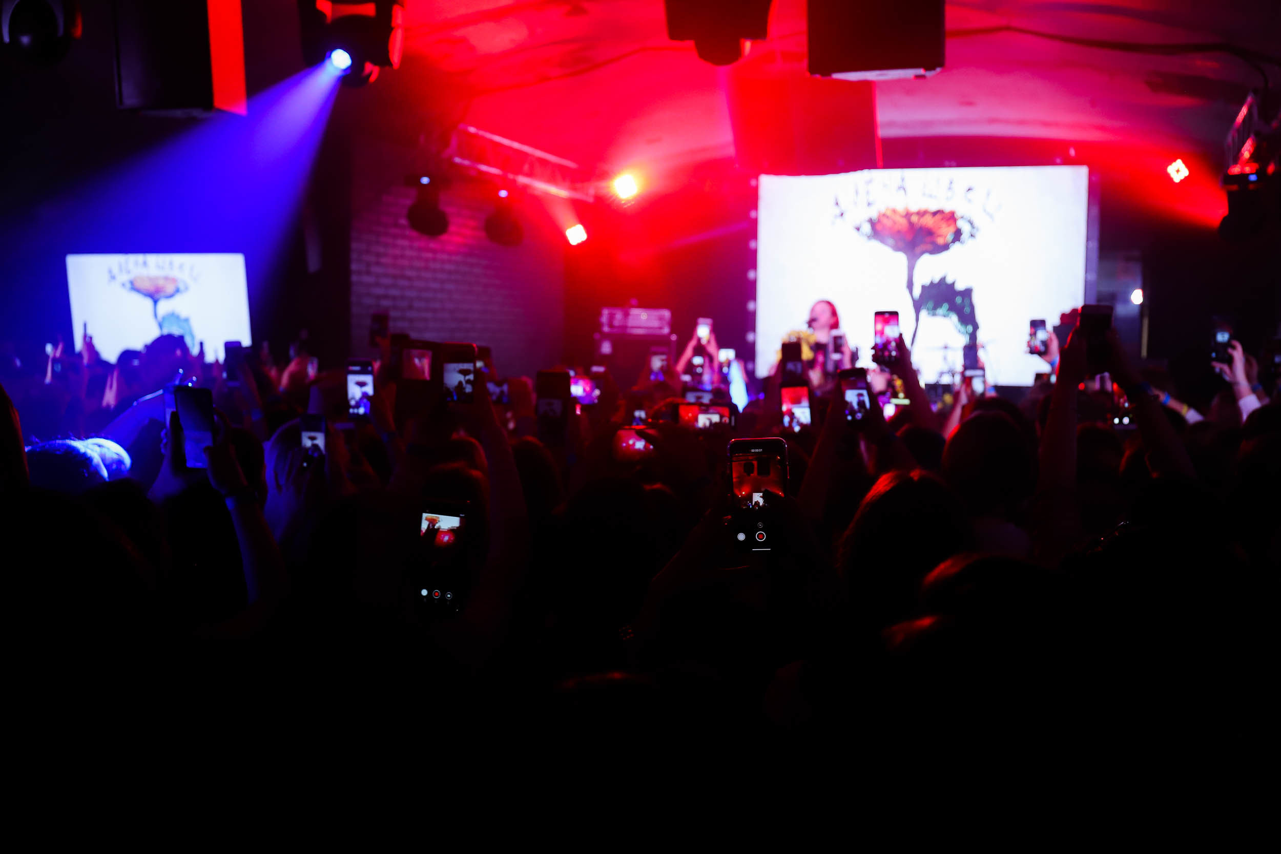 Алёна Швец Новосибирск. Фотограф Томск Скавронский Даниил