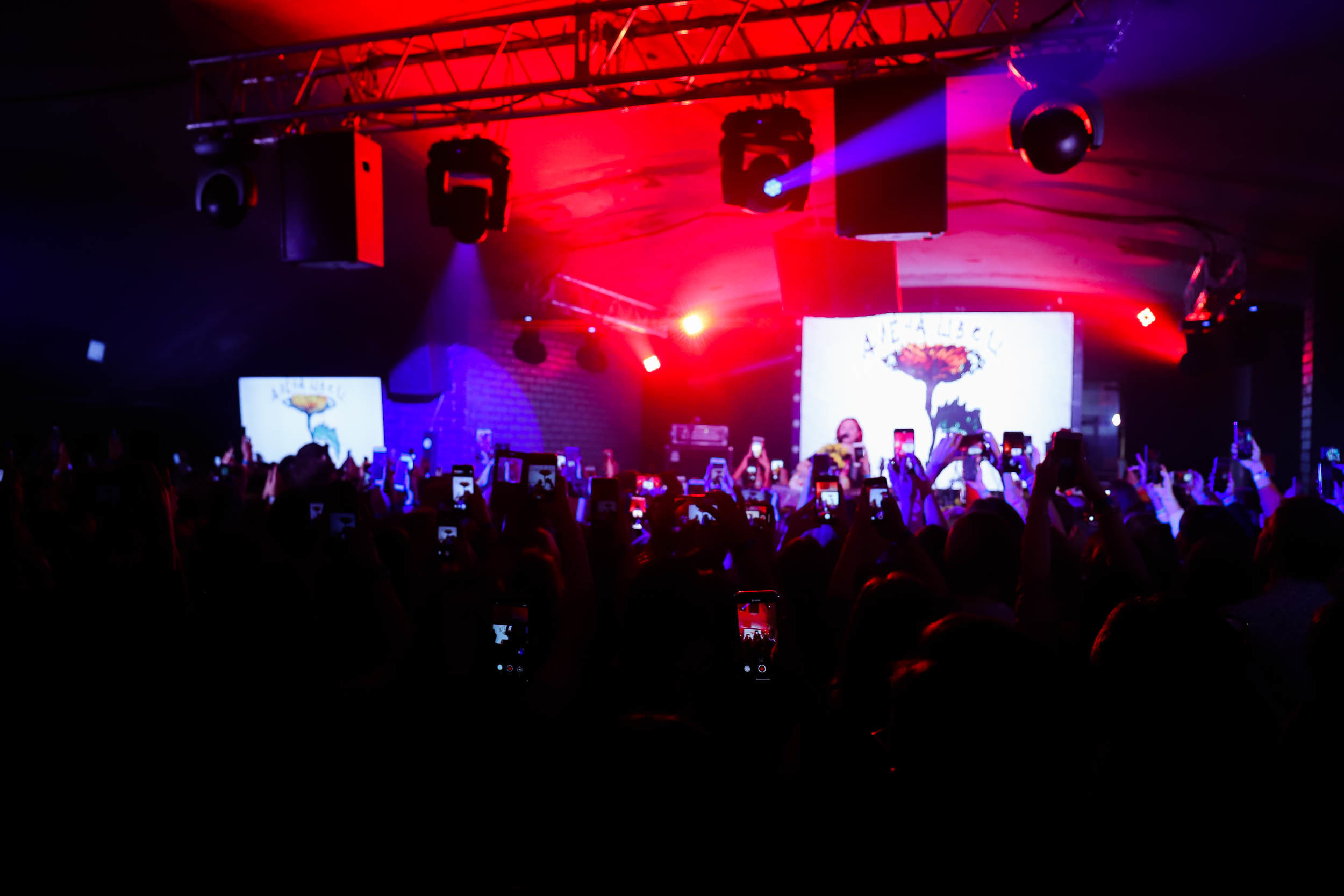 Алёна Швец Новосибирск. Фотограф Томск Скавронский Даниил