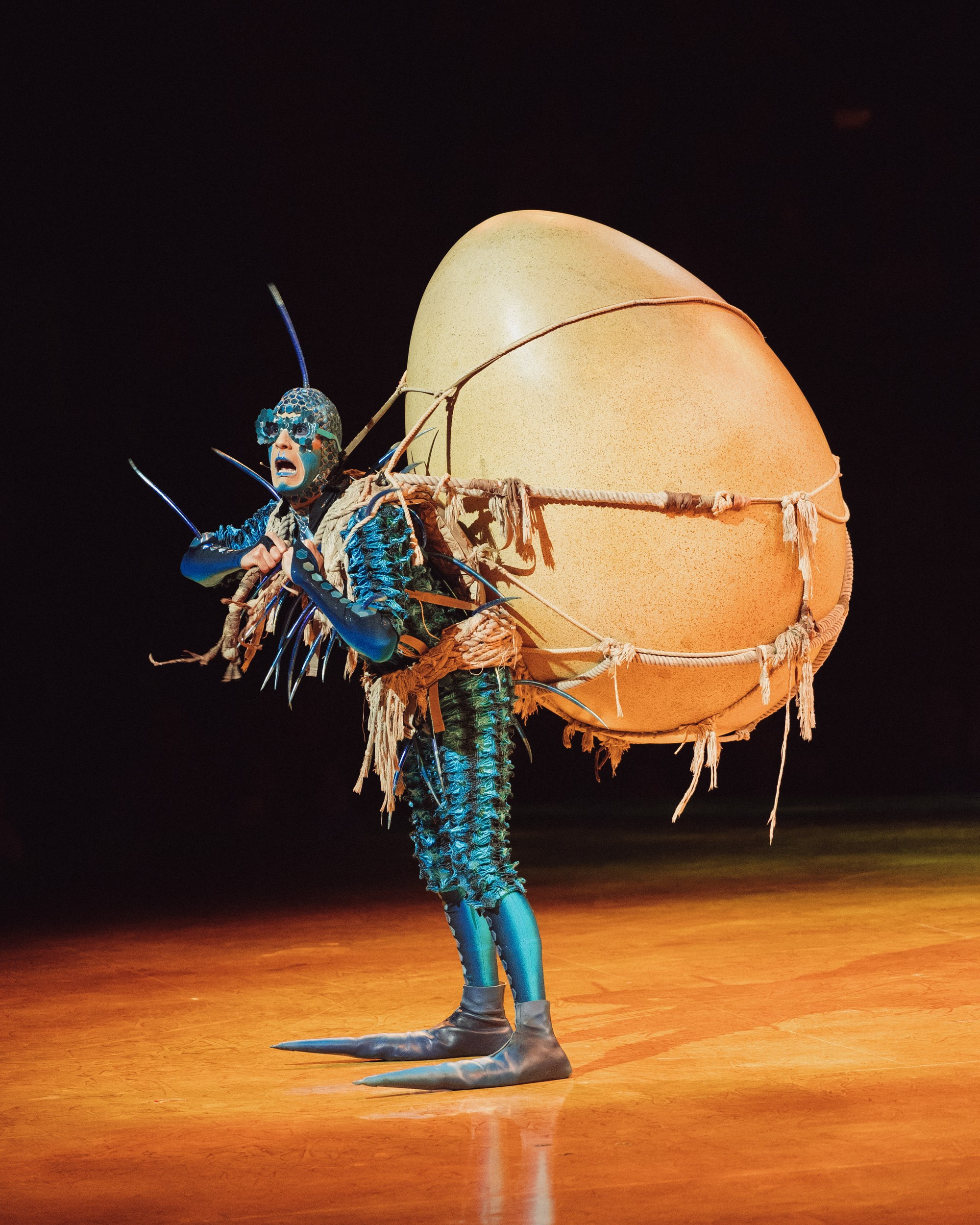 Cirque du Soleil. Портретный и репортажный фотограф Артём Бояров