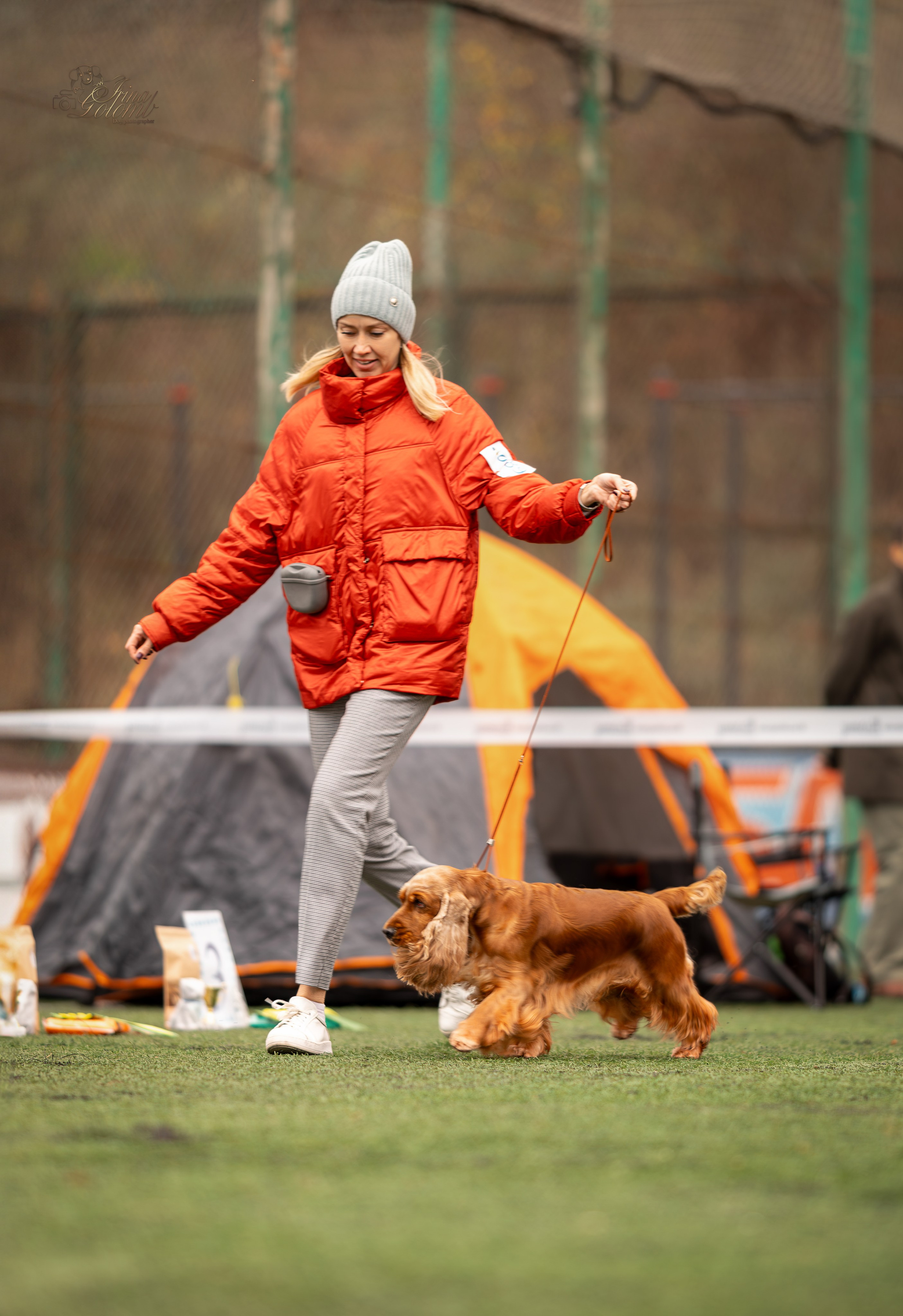 Выставка 17.12.23. Ирина Голомб|Фотограф-анималист в  Сочи и Калининграде