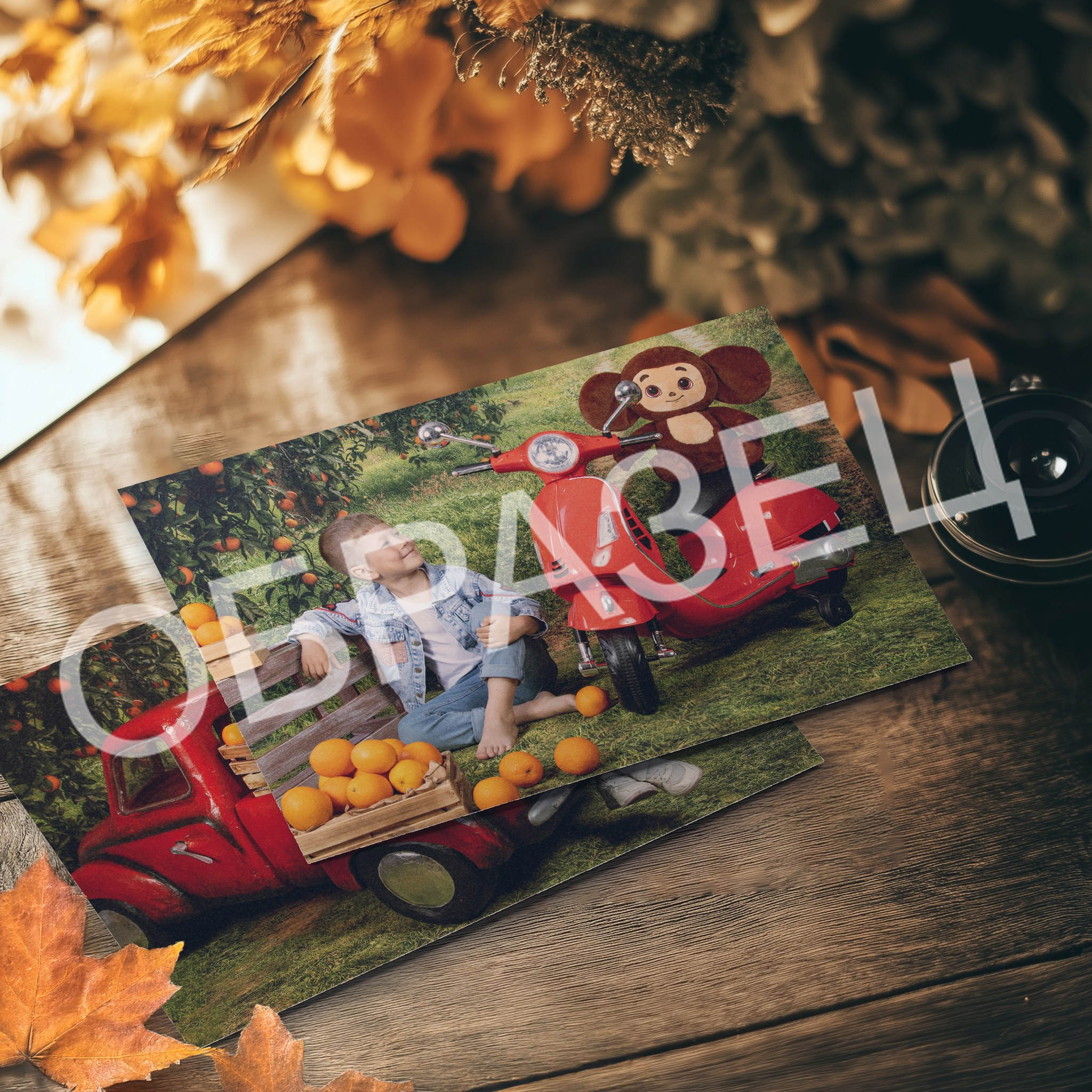 Альбом «Радуга» (ссылка). Три Жирафа