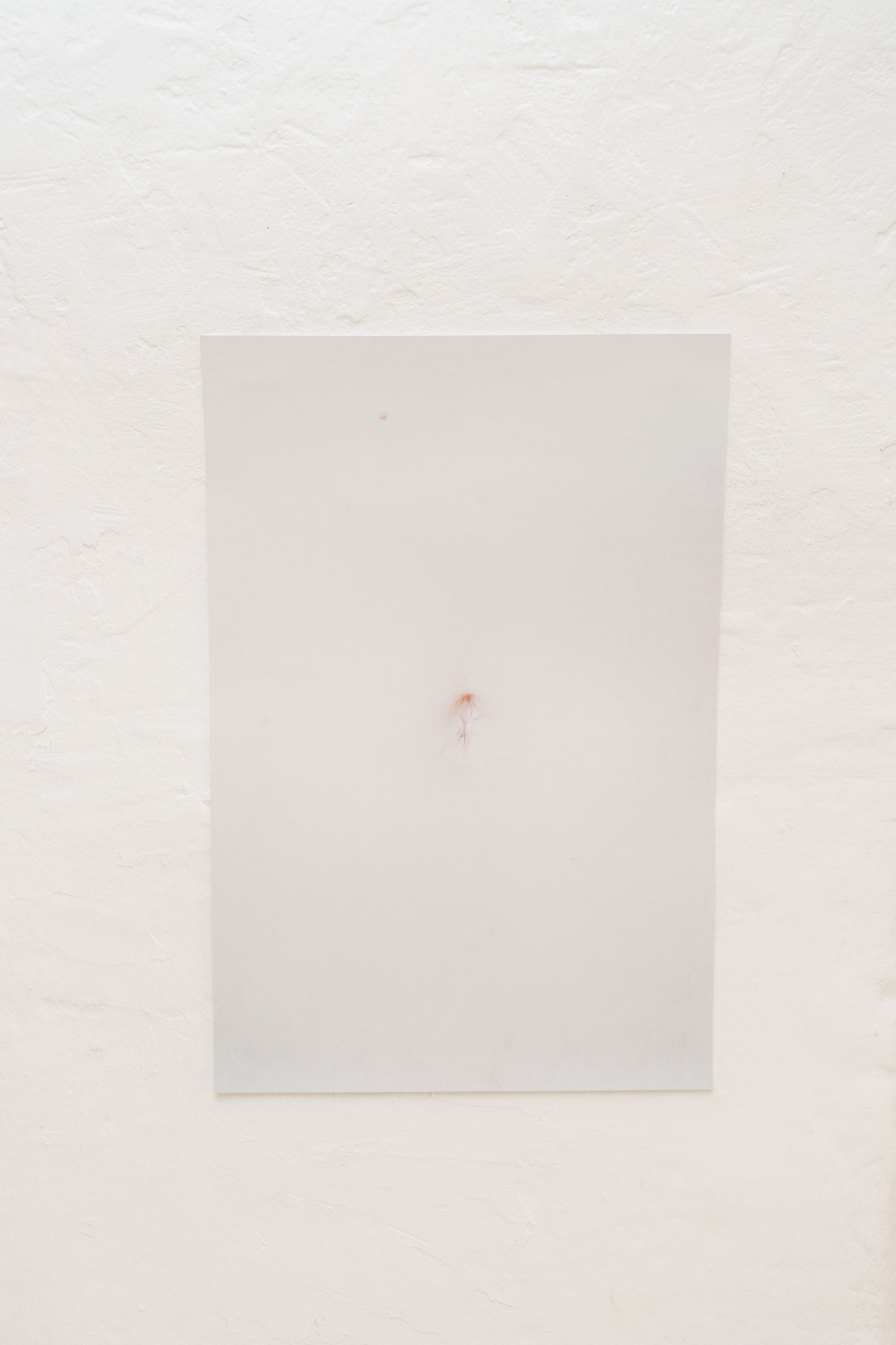 Эффект присутствия. Козлова Екатерина. Междисциплинарная визуальная художница