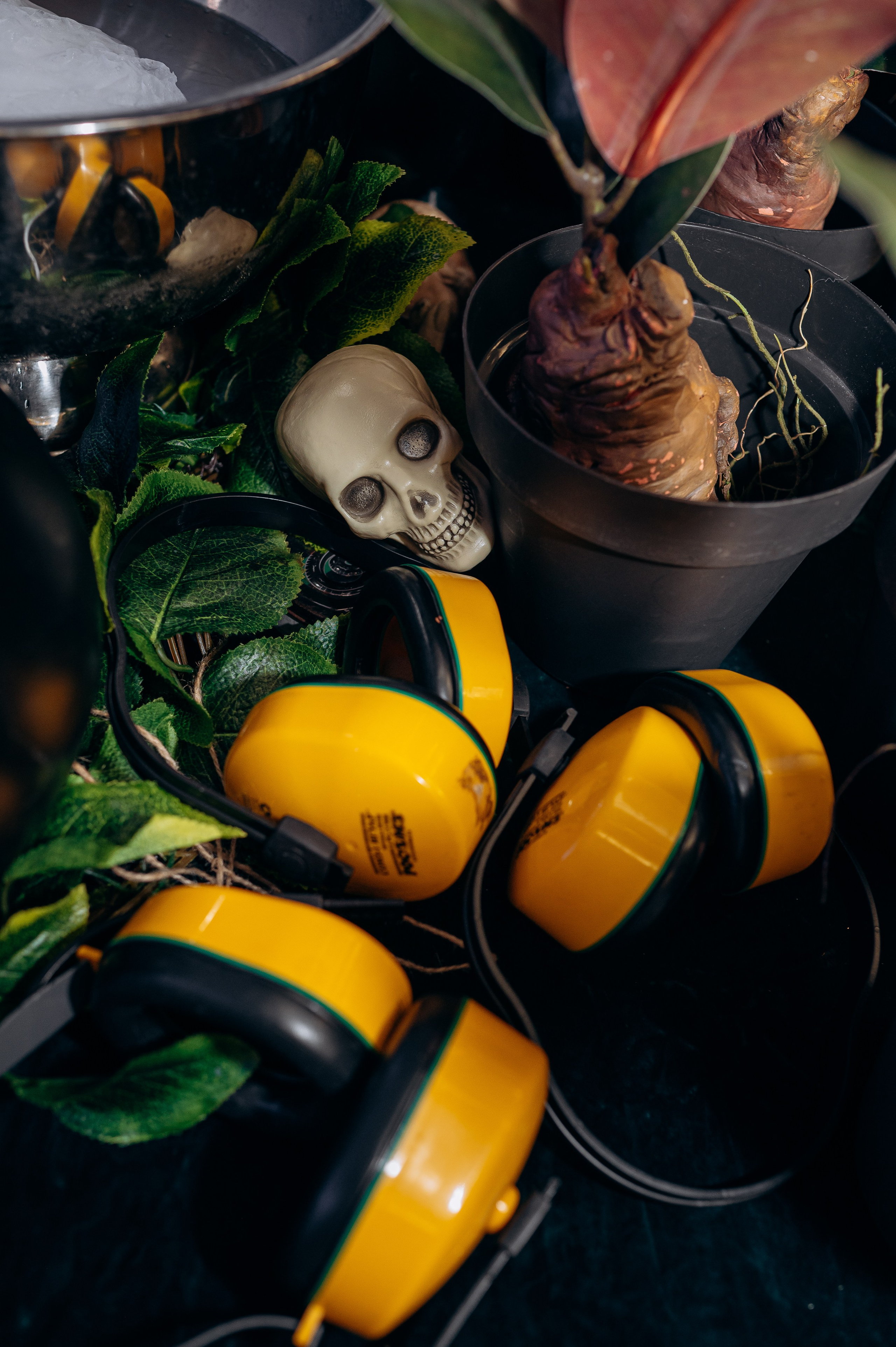 Выпускной в саду. Семейный фотограф Одинцово Москва Кулакова Екатерина