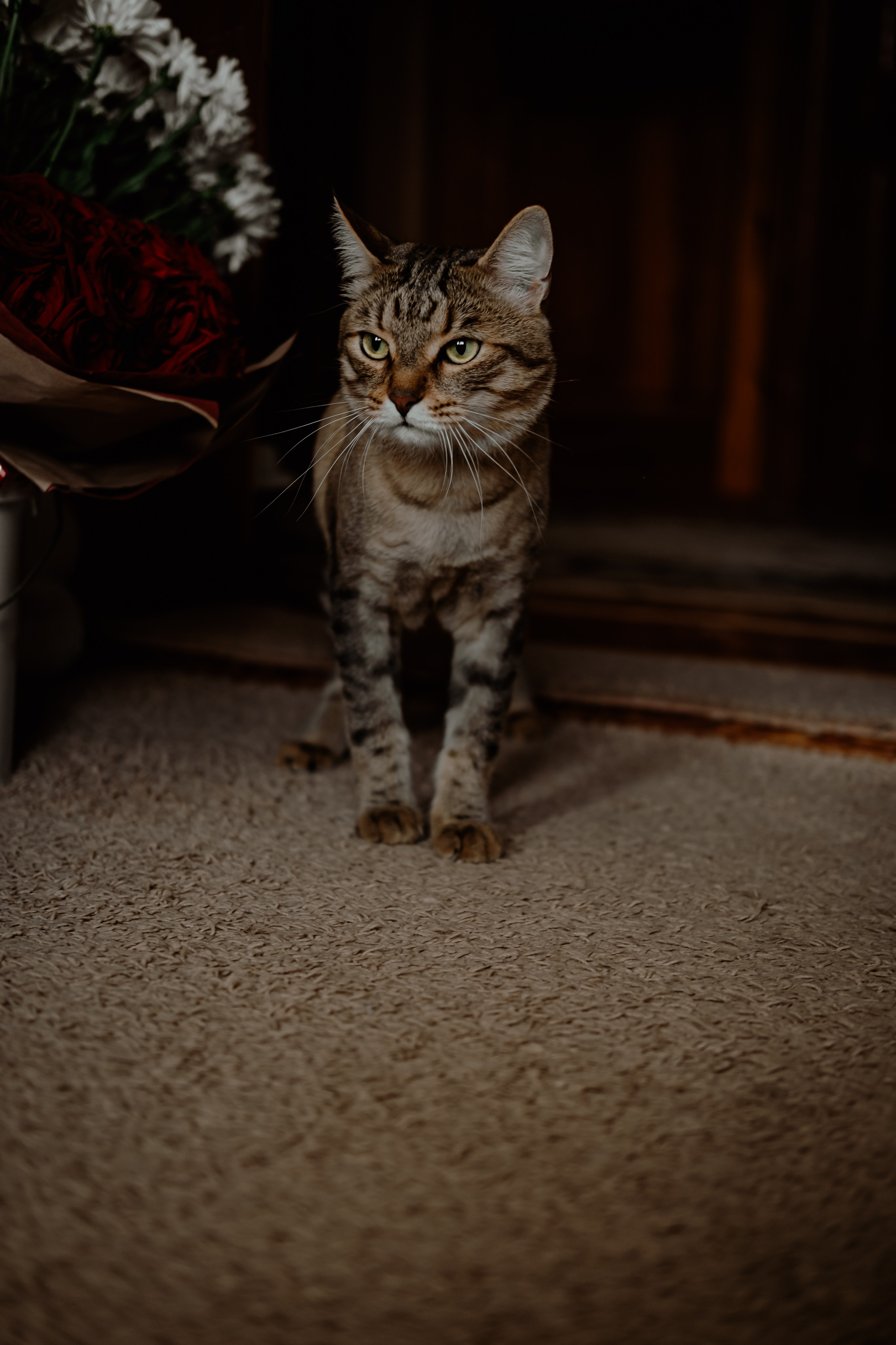 Дарья и Костя. Свадебный фотограф Челябинск