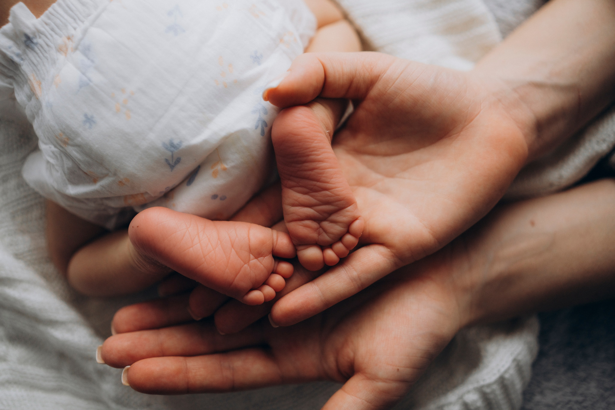 New Born. Фотограф из Санкт-Петербурга Бызина Наталья