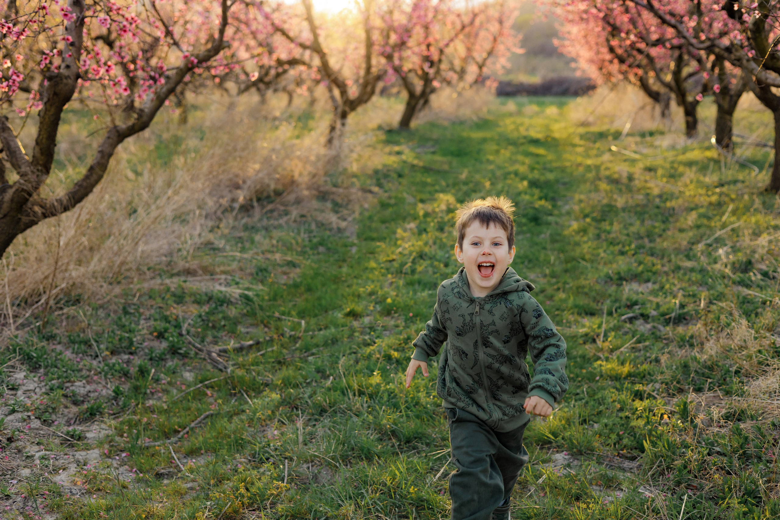 Закат в персиковом саду