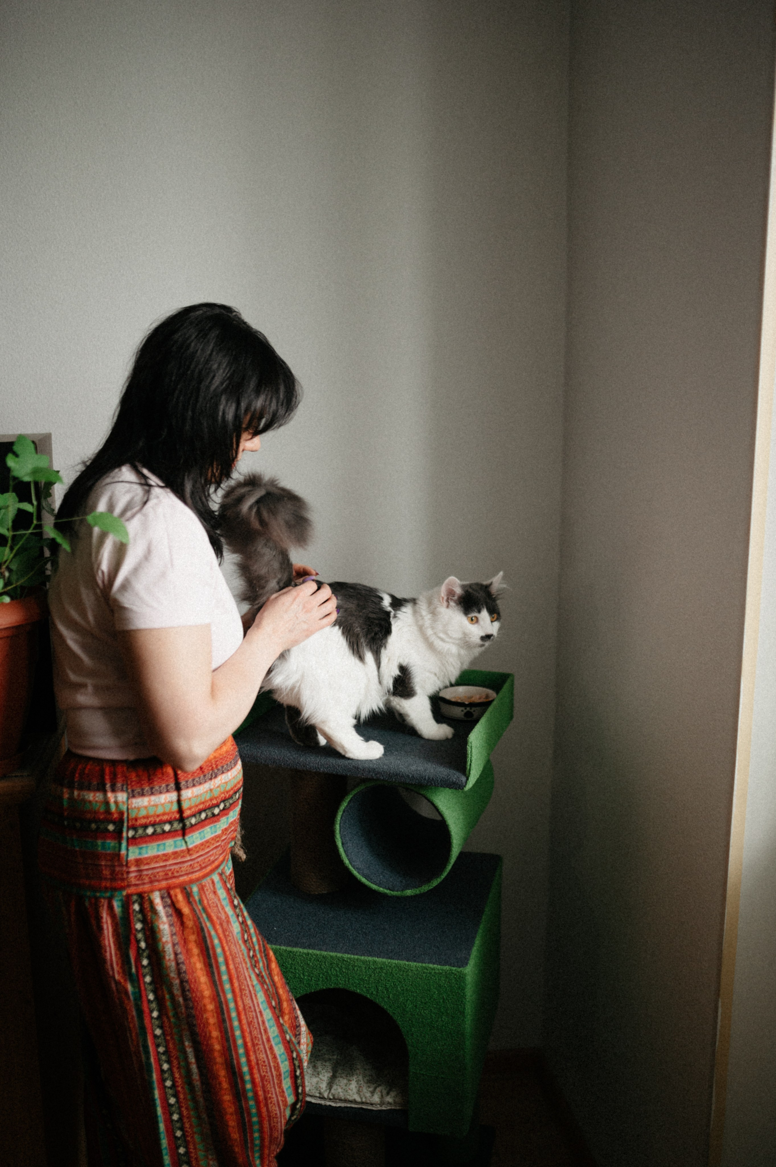 Оля и её меховая банда. Фотограф анималист в Москве Ольга Агушева