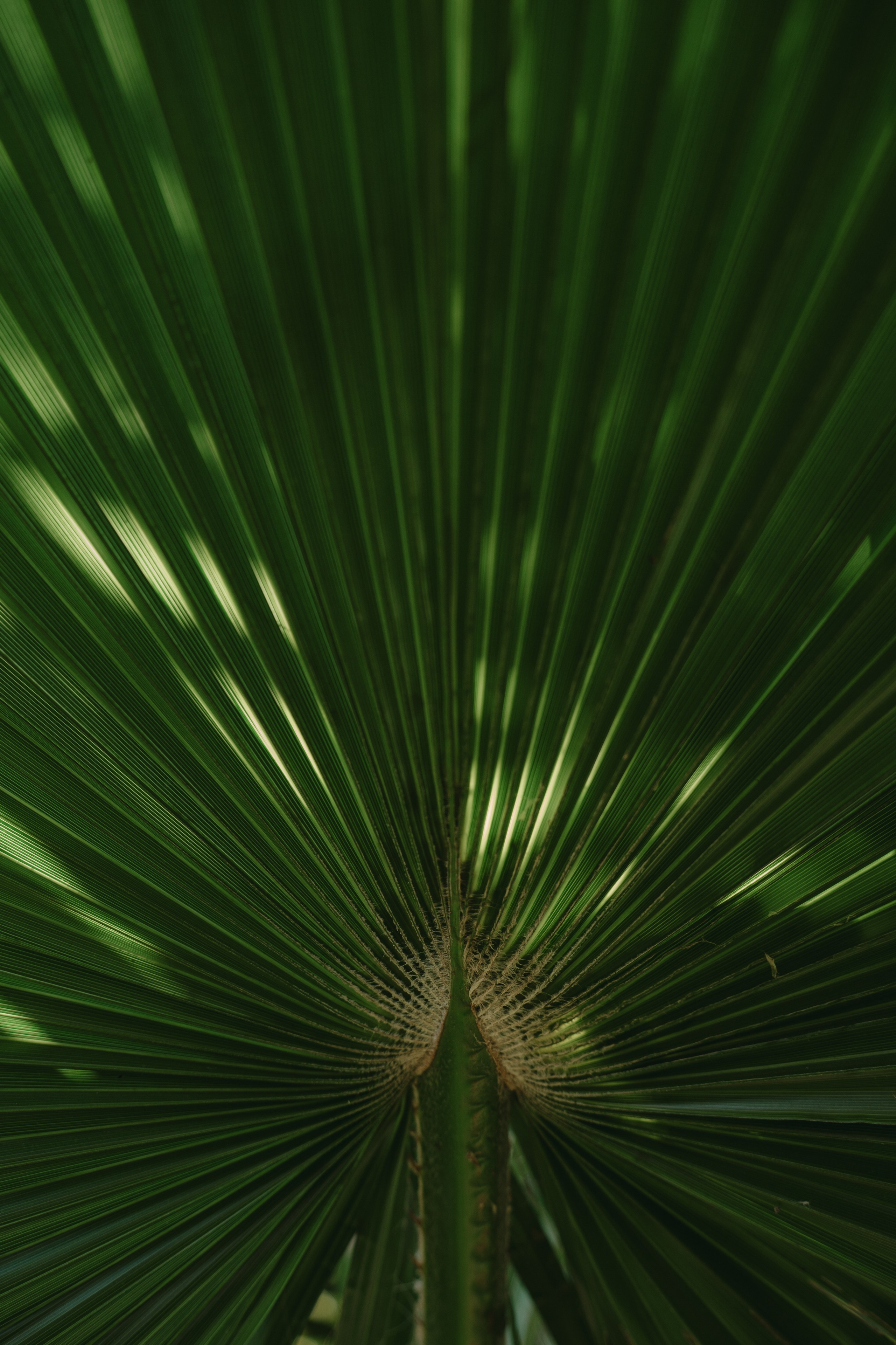 Casa Sur. Wedding & Documentary Photographer based in Nuremberg — available across Europe & Turkey | Vitalii Nasonov