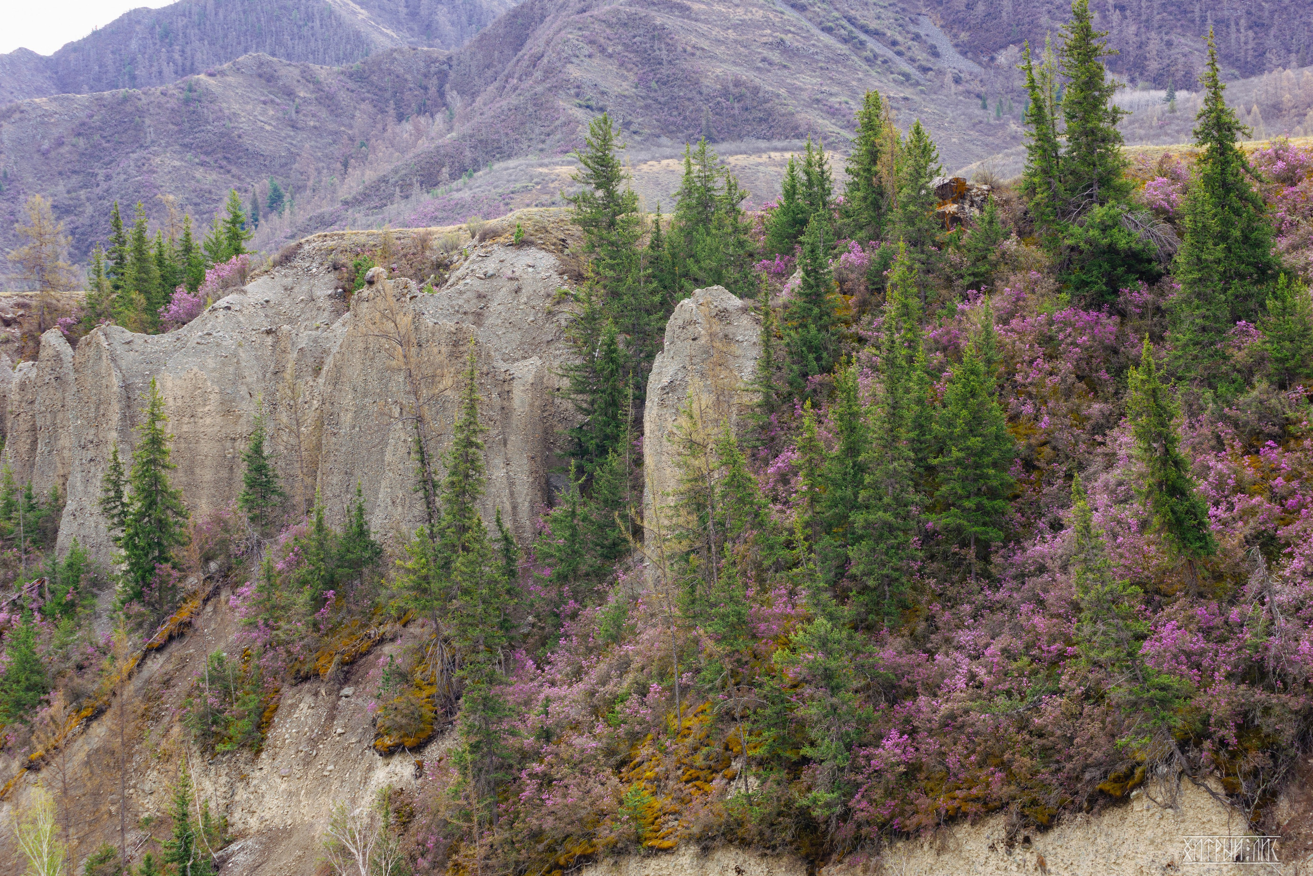 Алтай. Фотограф-путешественник Самойлов Максим «Sly Fox»