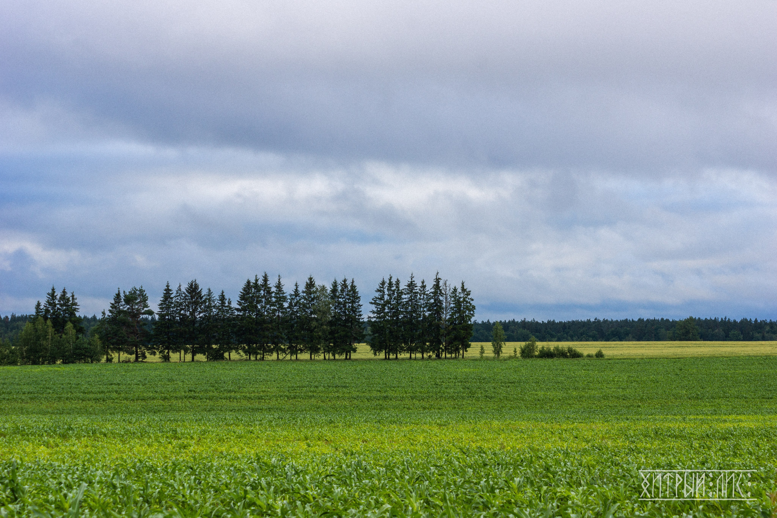 Беларусь. Фотограф-путешественник Самойлов Максим «Sly Fox»