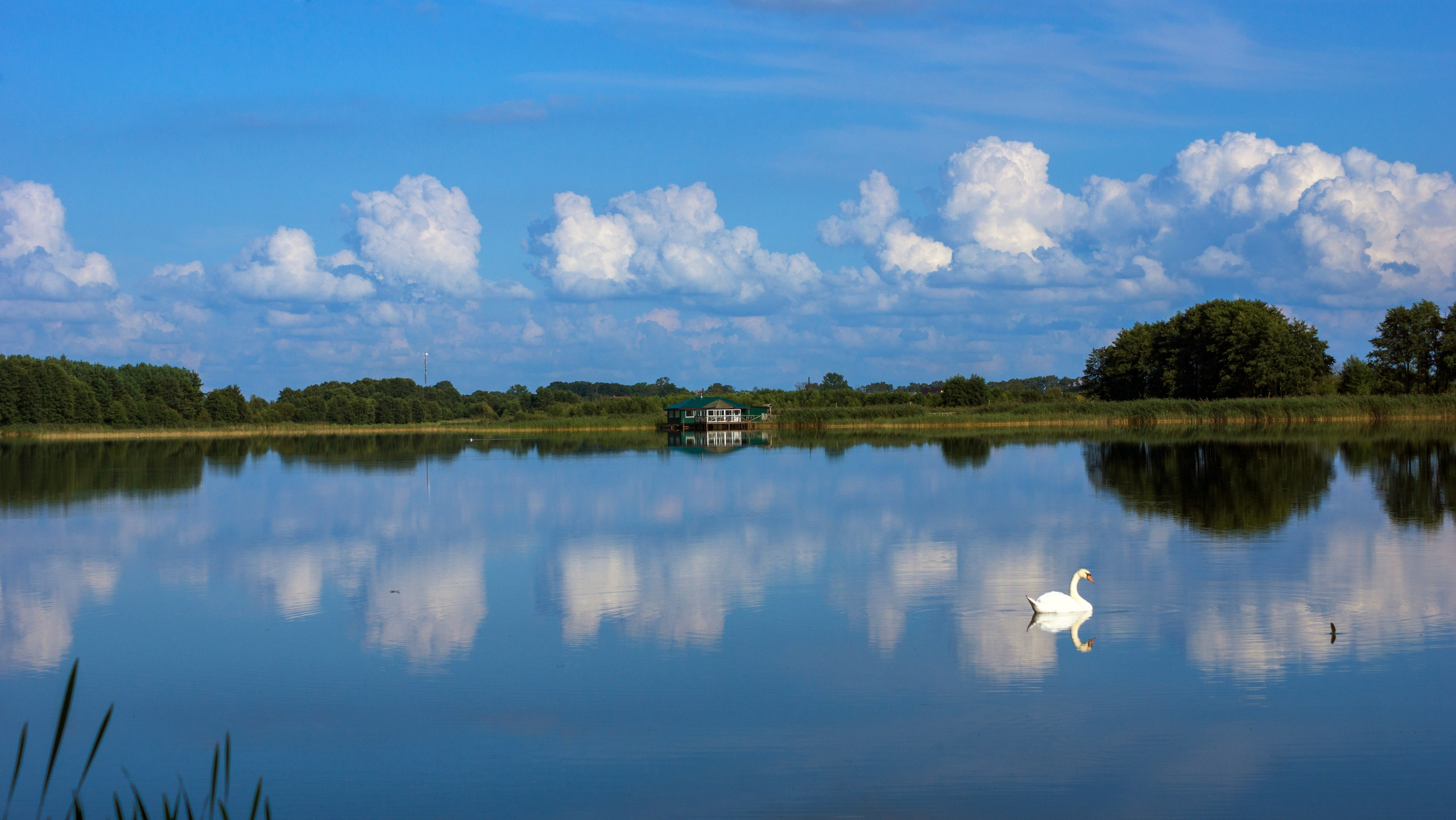 Куршская коса. Фотограф-путешественник Самойлов Максим «Sly Fox»