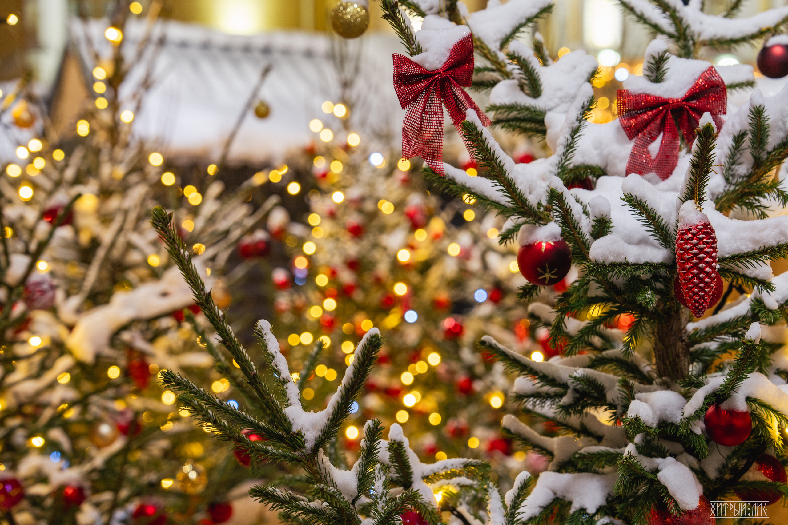 Старый Нижний Новгород. Фотограф-путешественник Самойлов Максим «Sly Fox»